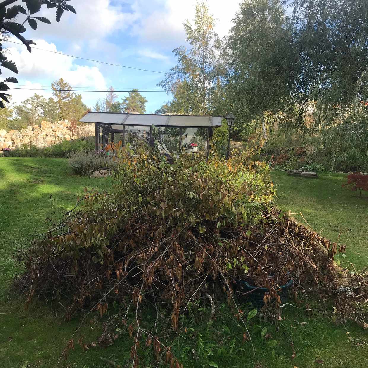 image of Ris och grenar - Ösmo