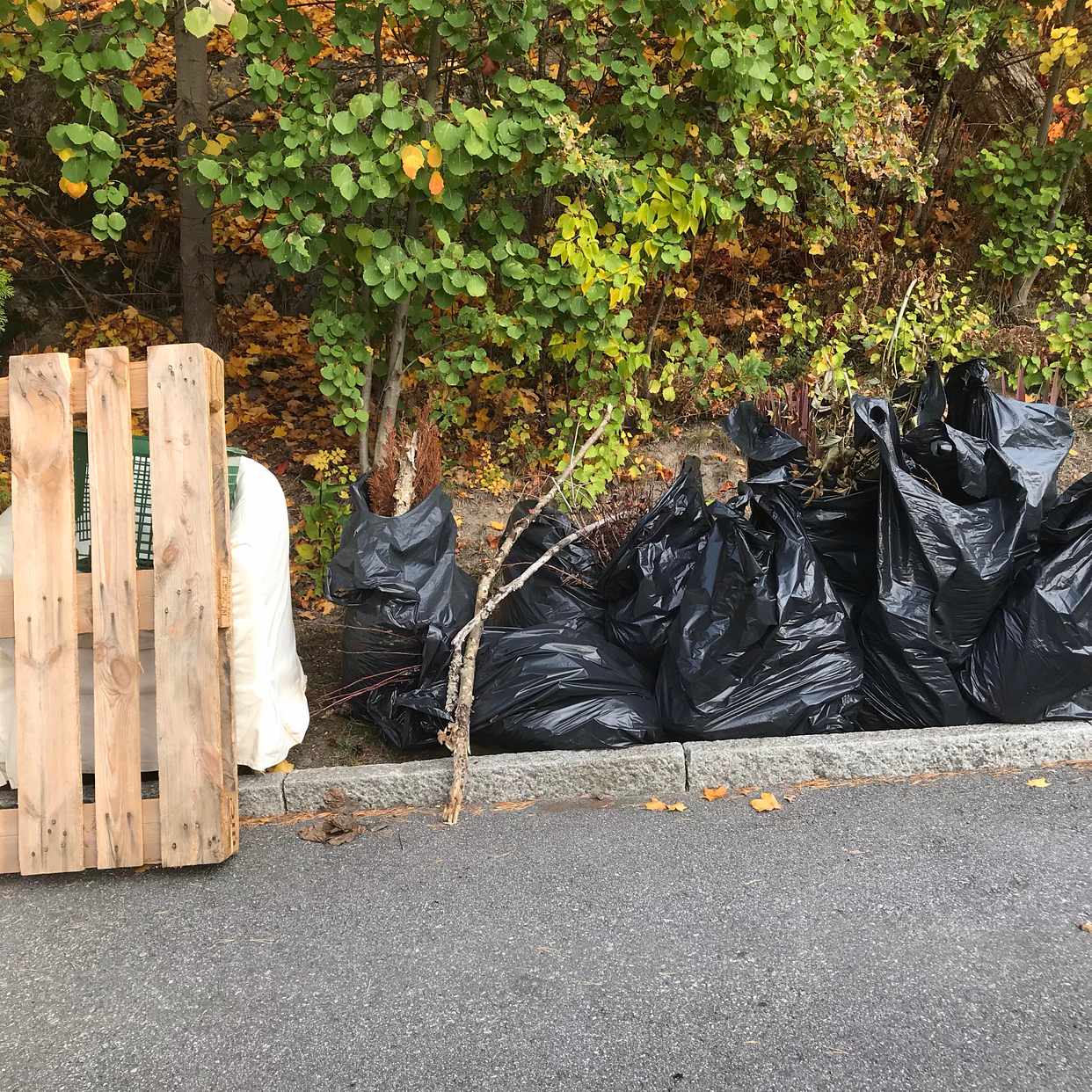 image of Trädgårdsavfall, fotölj, - Lidingö