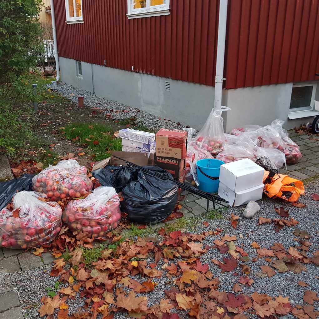 image of 16 halvfyllda säckar äppl - Bromma