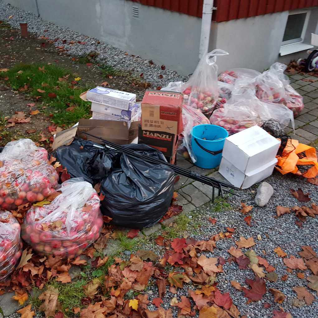 image of 16 halvfyllda säckar äppl - Bromma