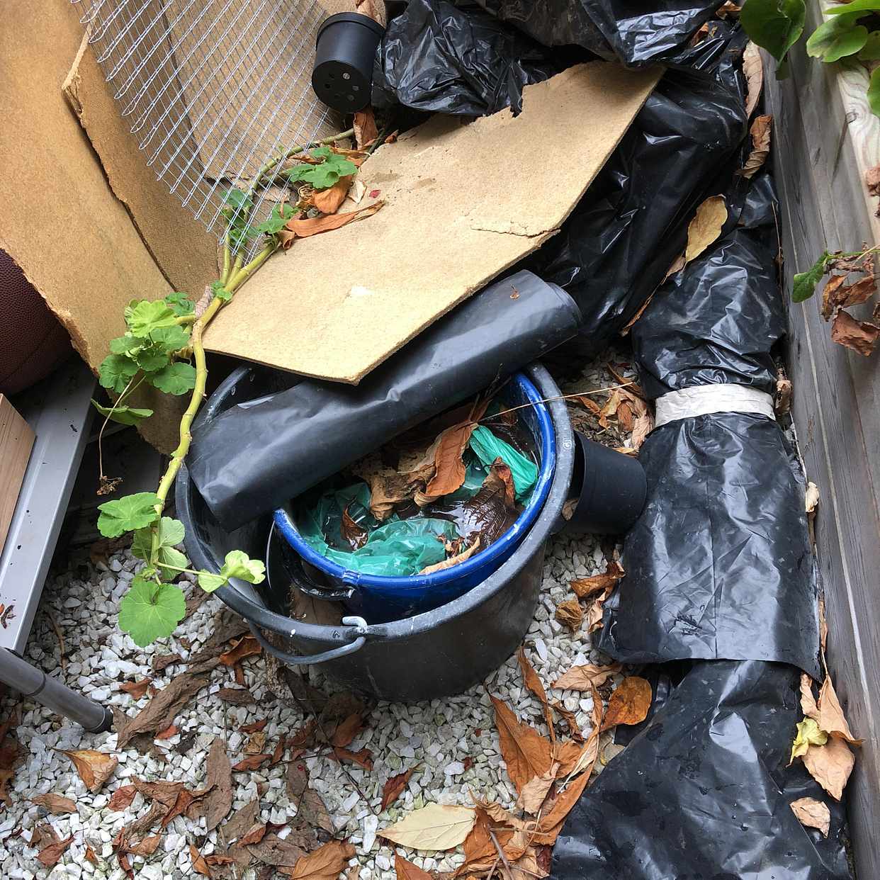 image of Cardboards, garden waste - Stockholm City