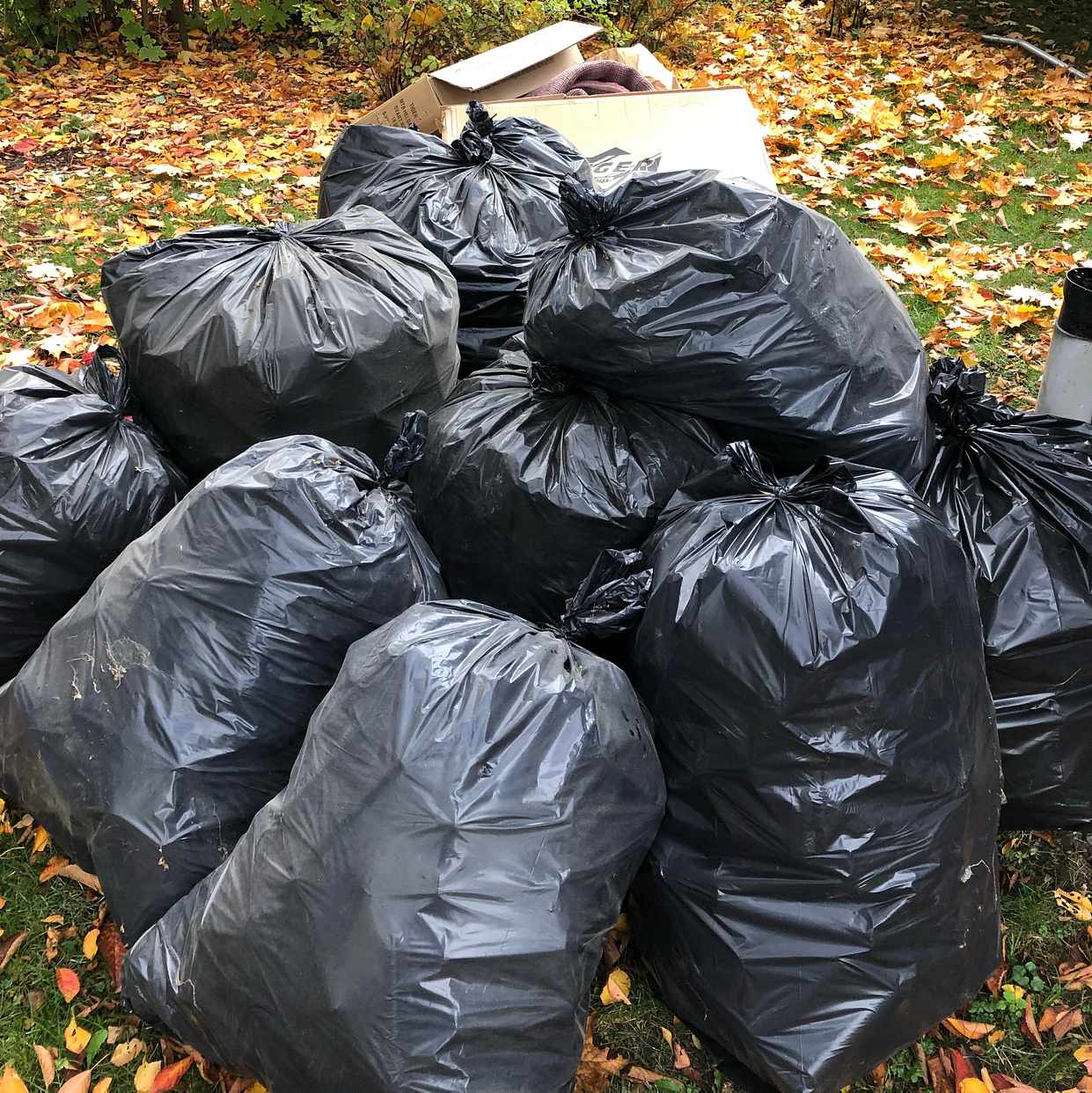 image of 12 fulla säckar med pant - Bromma