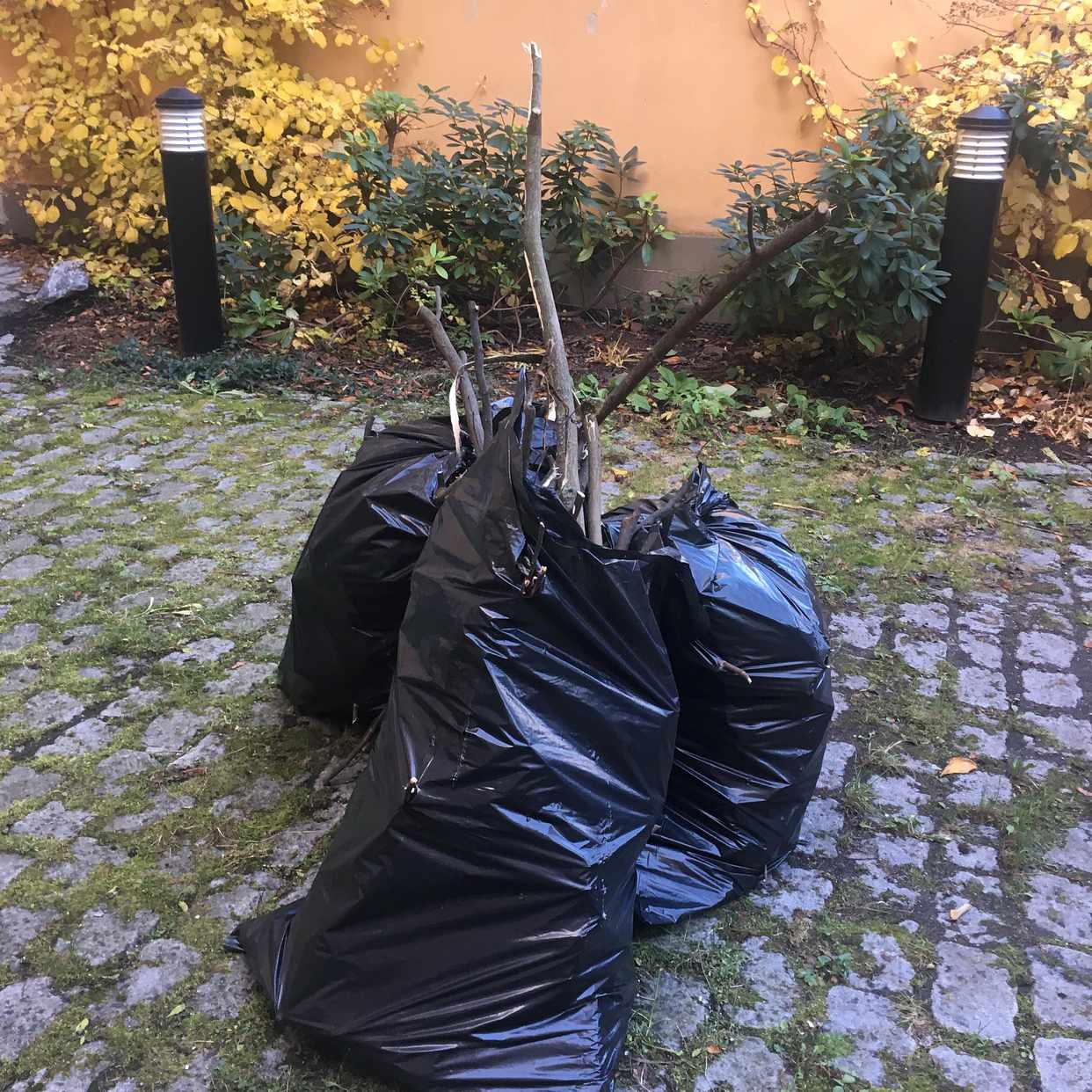 image of lövsäckar med grenar - Stockholm