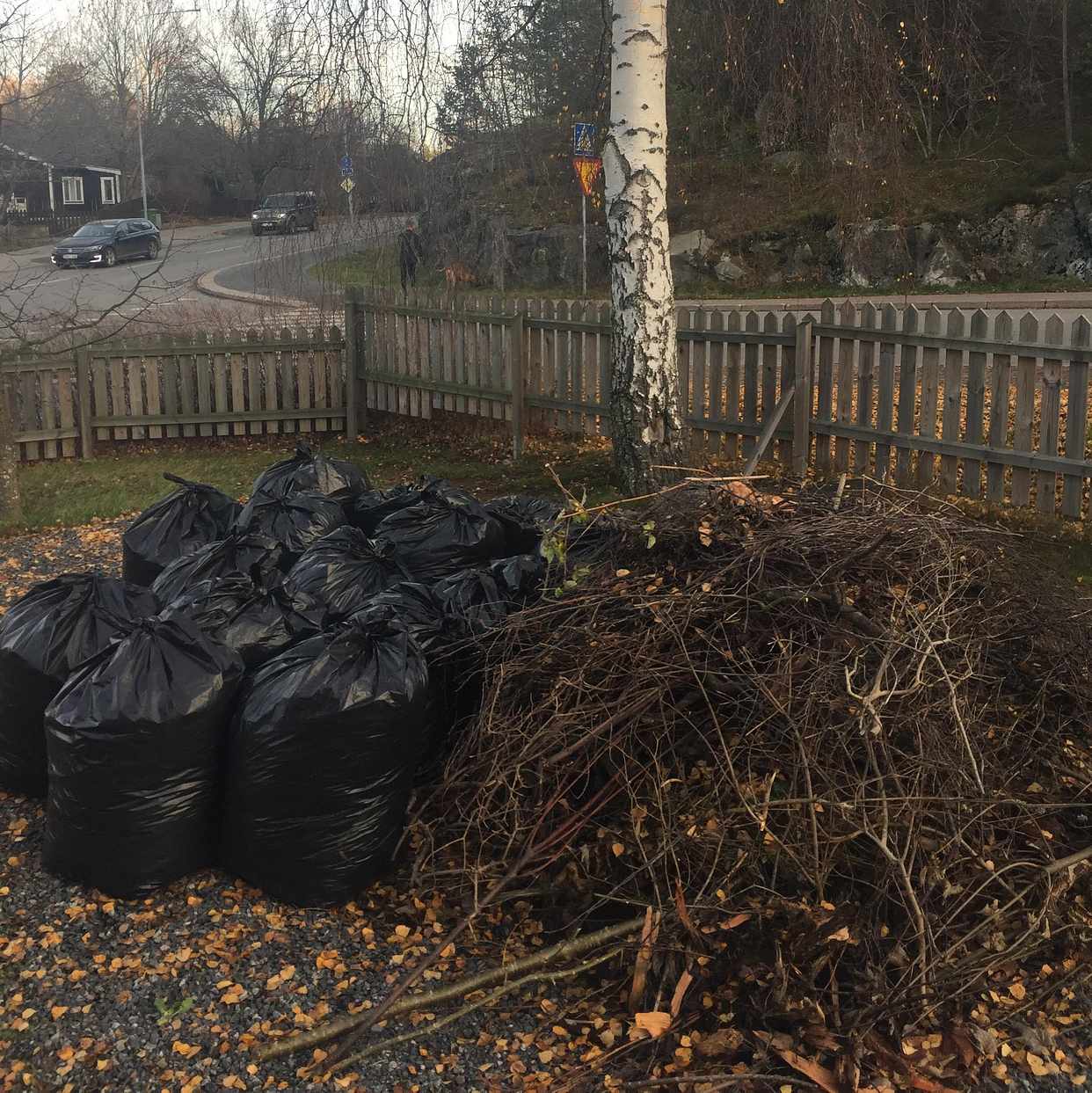 image of Lövsäckar, ris & grenar - Lidingö