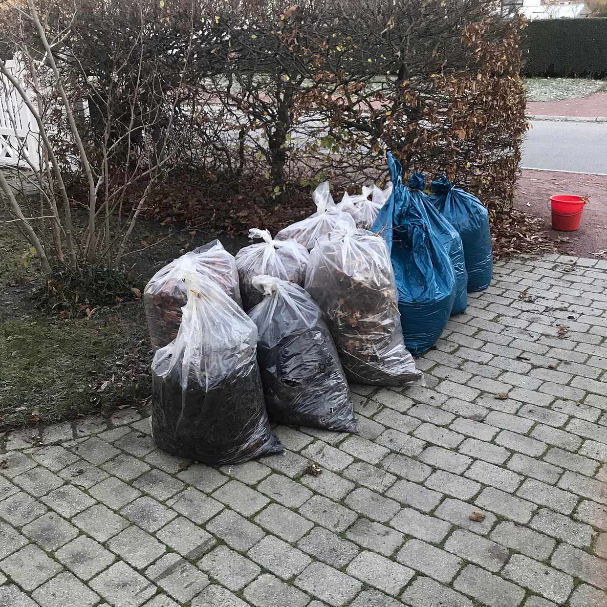 image of Trädgårdsavfall i säckar - Malmö