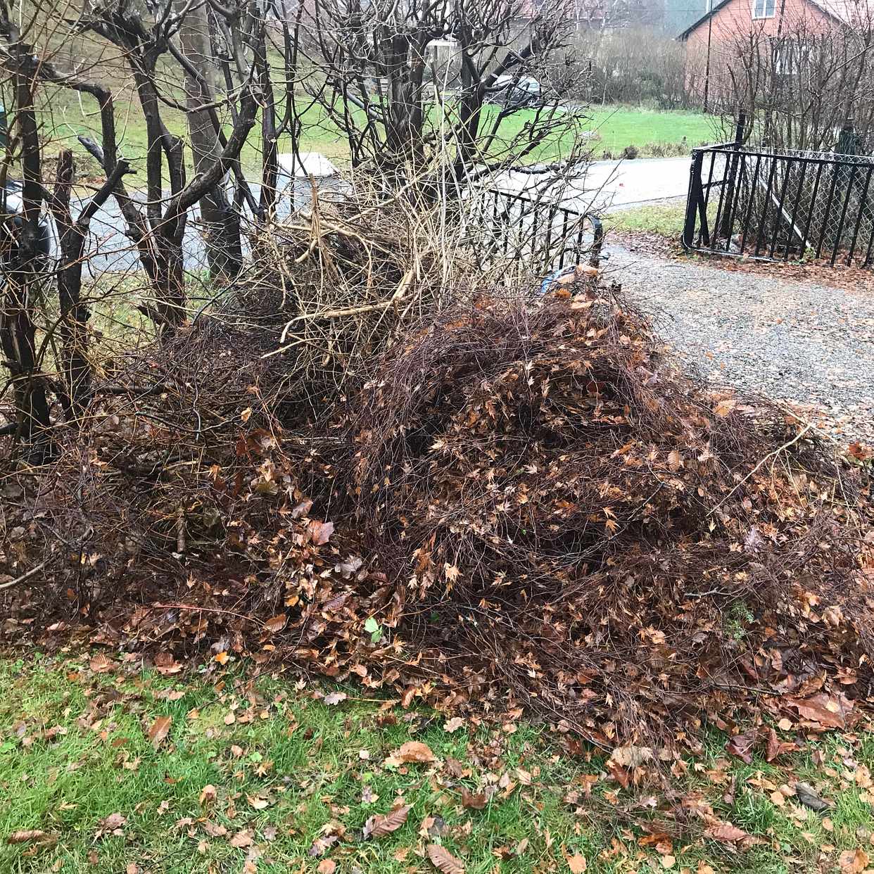 image of Löv och ris + lite skräp - Saltsjö-Duvnäs
