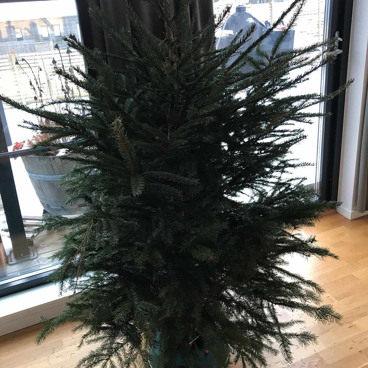 image of Liten julgran - Huddinge