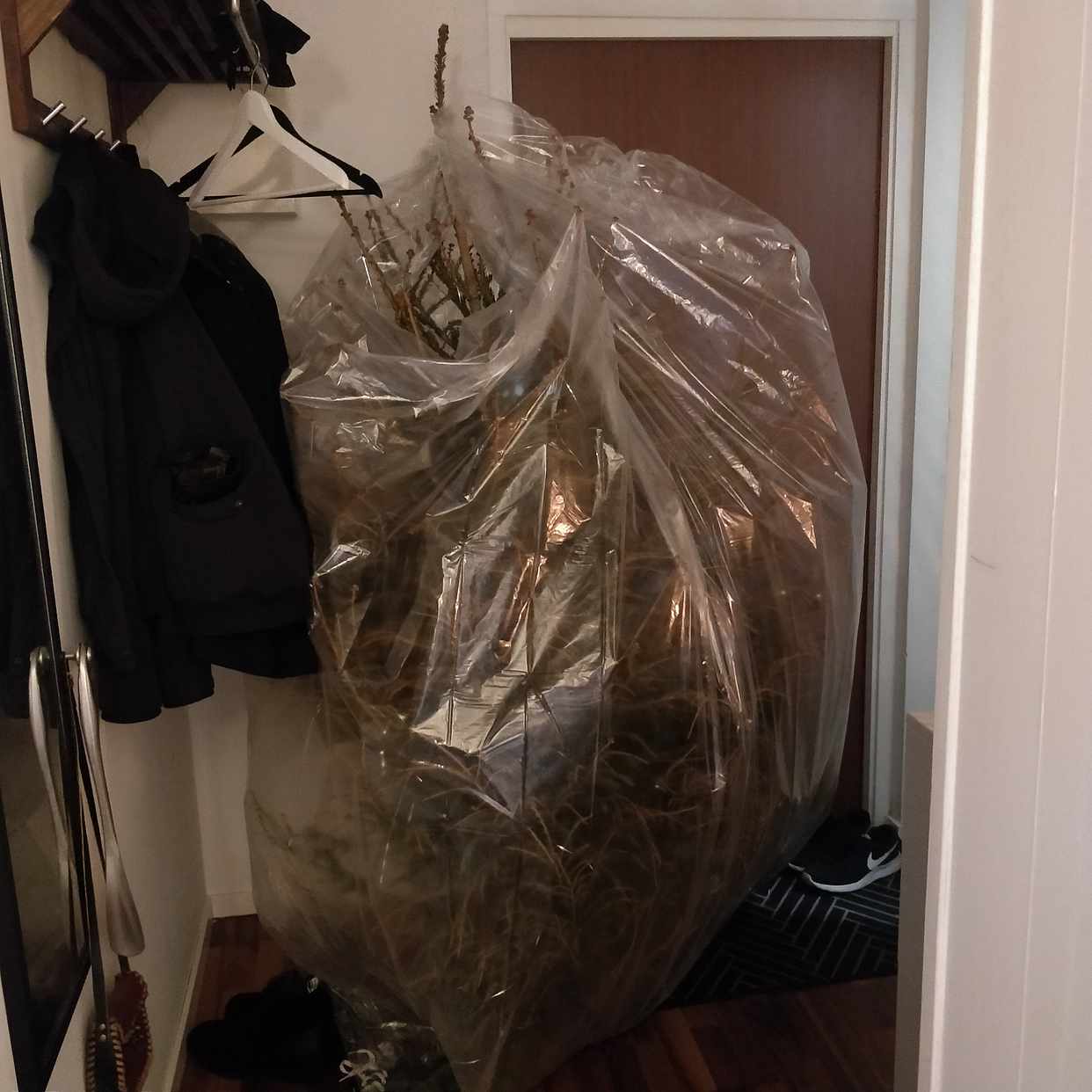 säck till julgran Julgran (i påse) + säck   Stockholm   Tiptapp