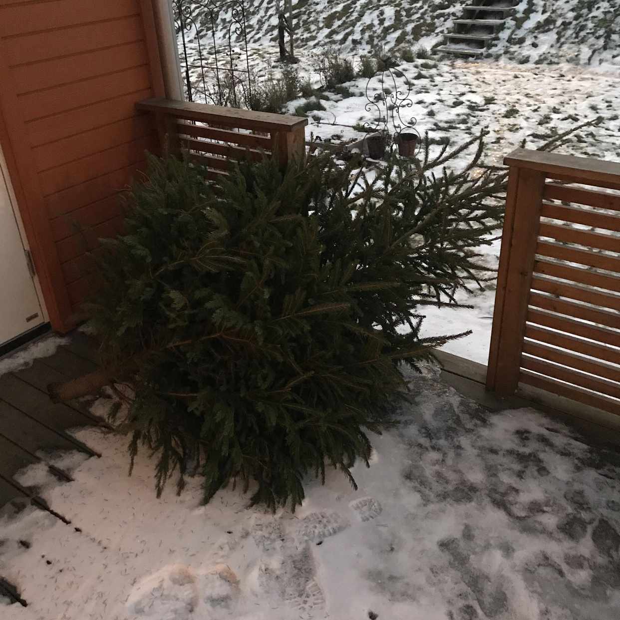 julgran upplands väsby Julgran till återvinning   Upplands Väsby   Tiptapp