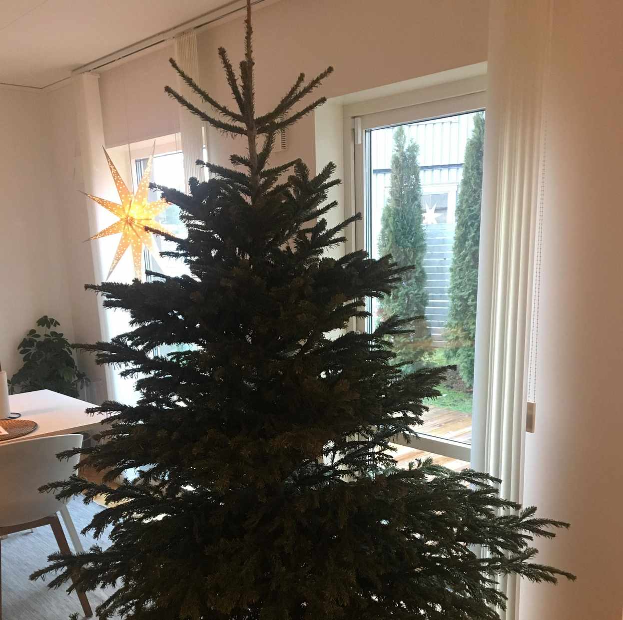 image of Julgran till återvinning - Huddinge