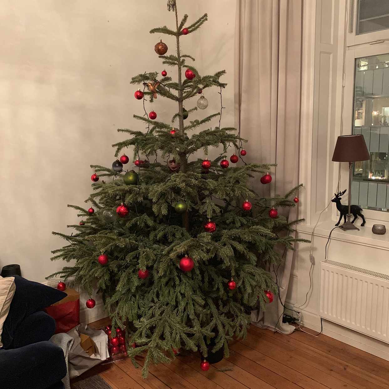 image of Julgran till återvinning - Stockholm