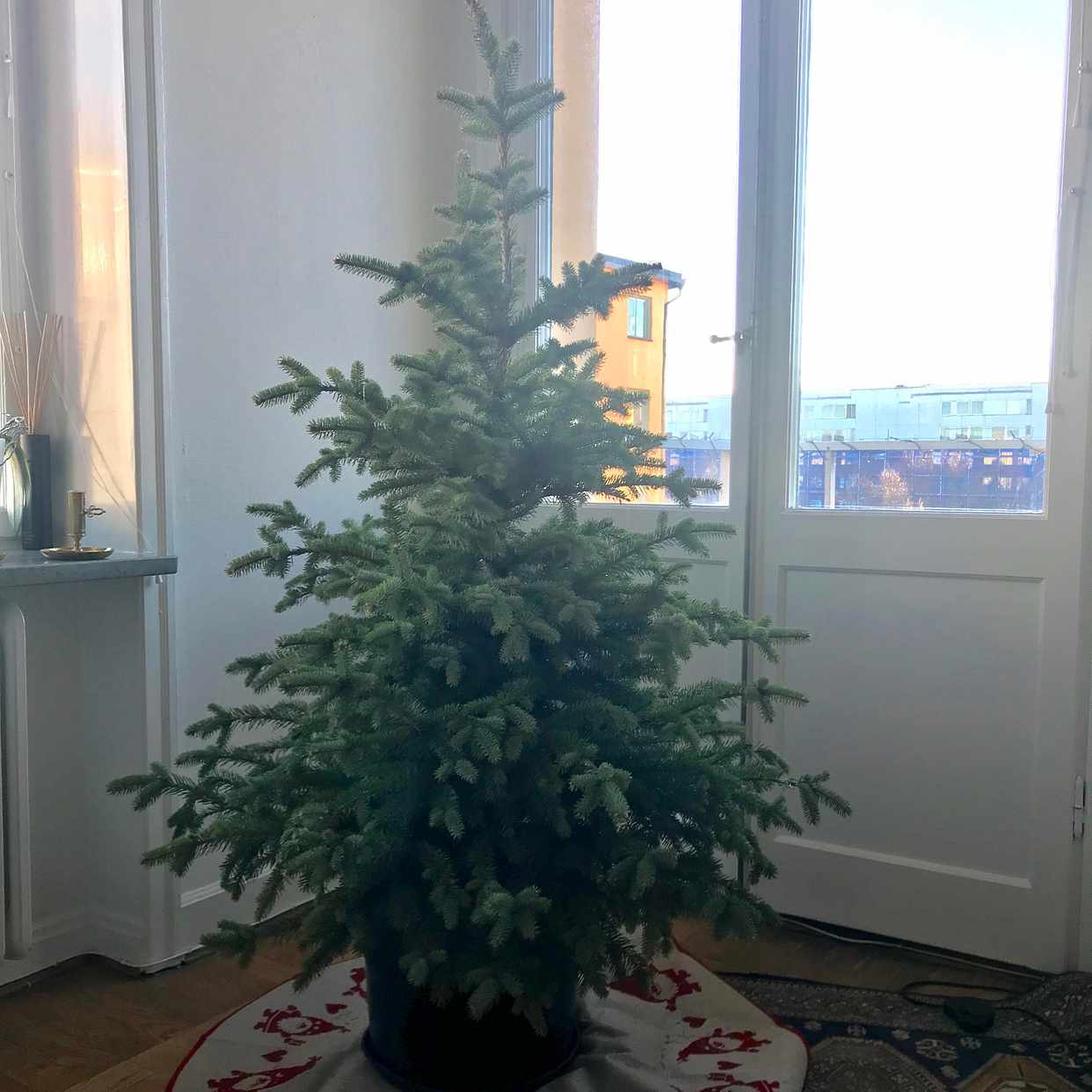 julgran kruka Julgran i kruka   Stockholm   Tiptapp