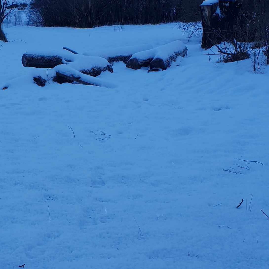 image of Ved elr återvinn 3 st - Huddinge