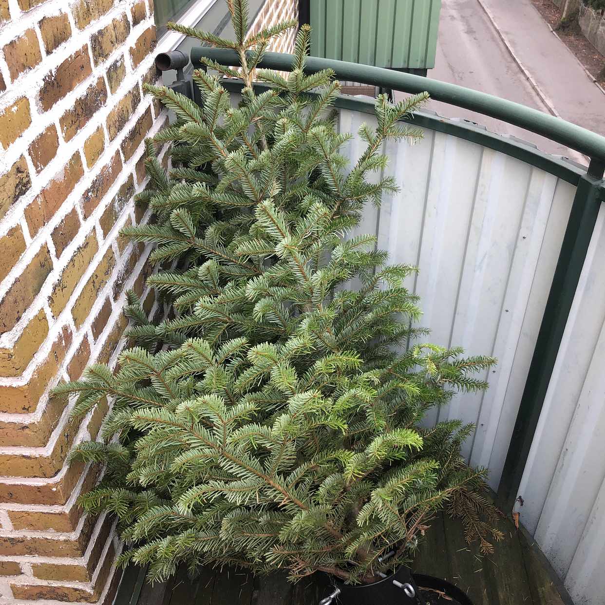 image of 2 granar och en madrass - Lund