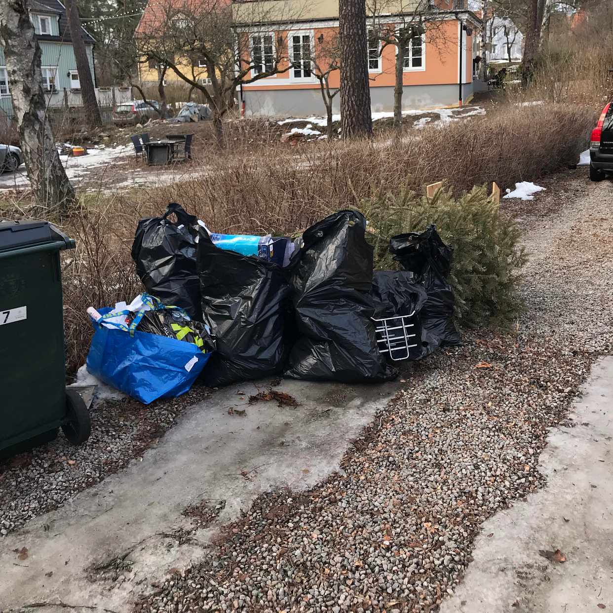 image of Kartong och 2 julgranar - Bromma