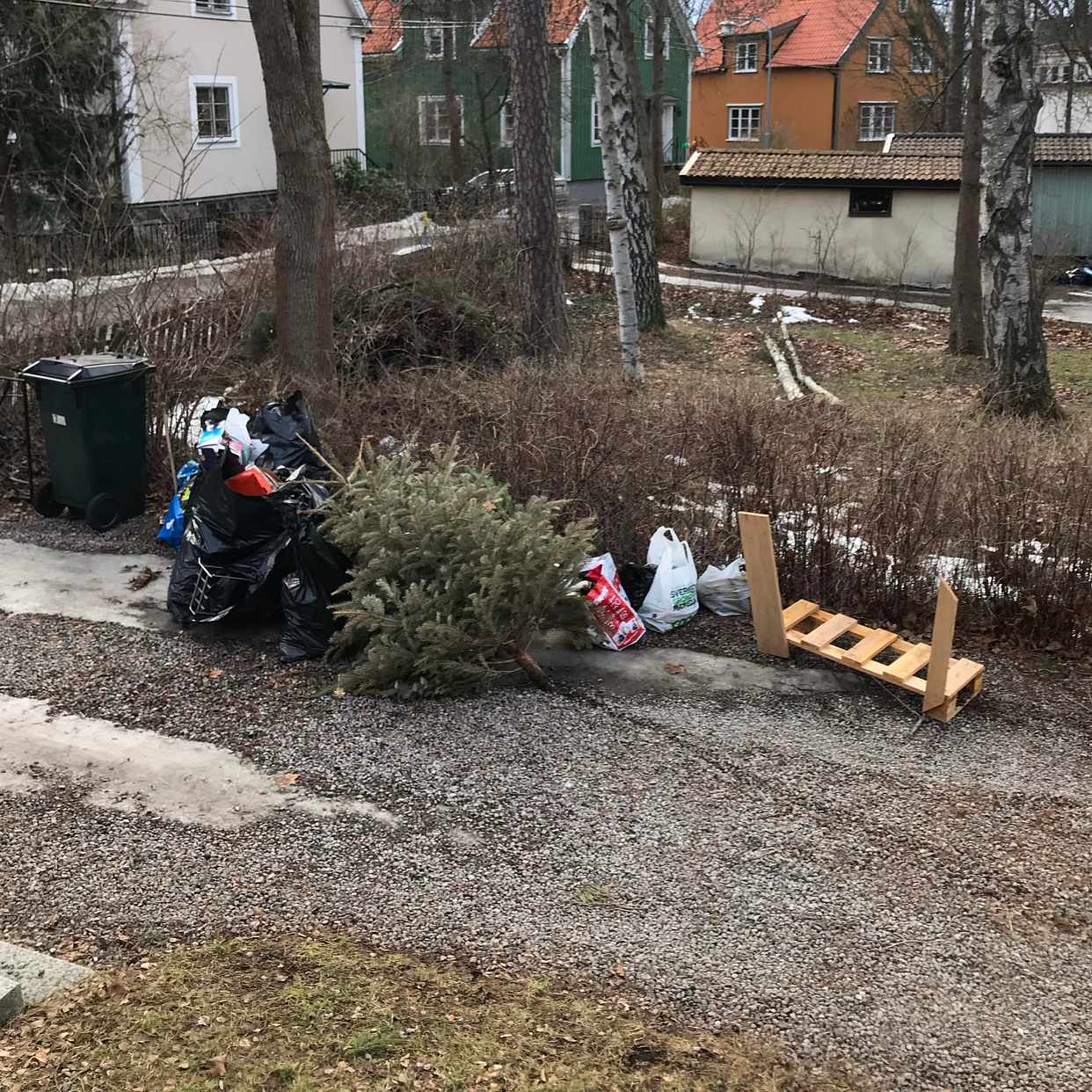 image of Kartong och 2 julgranar - Bromma