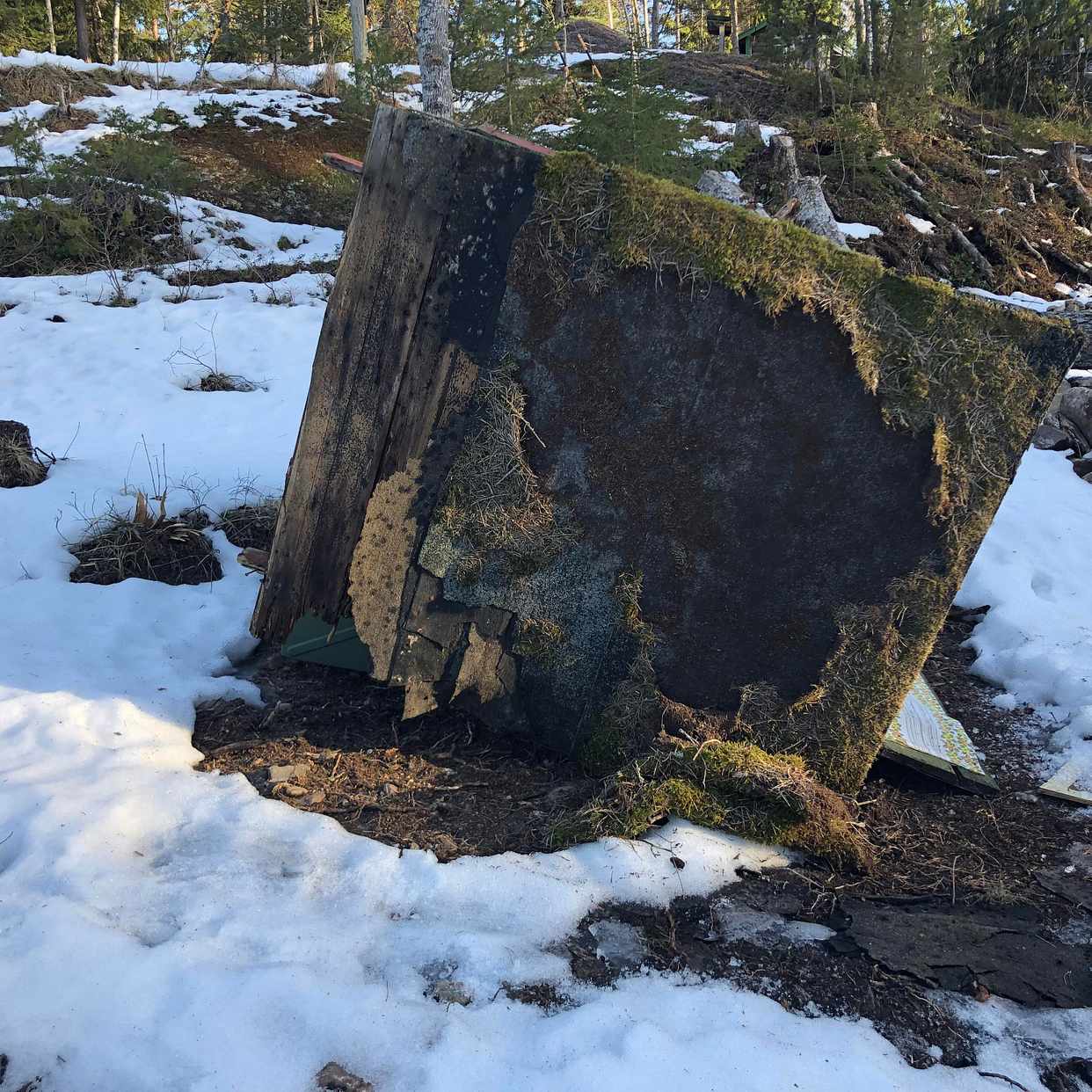 image of Ett gammalt tomt dass - Djurhamn