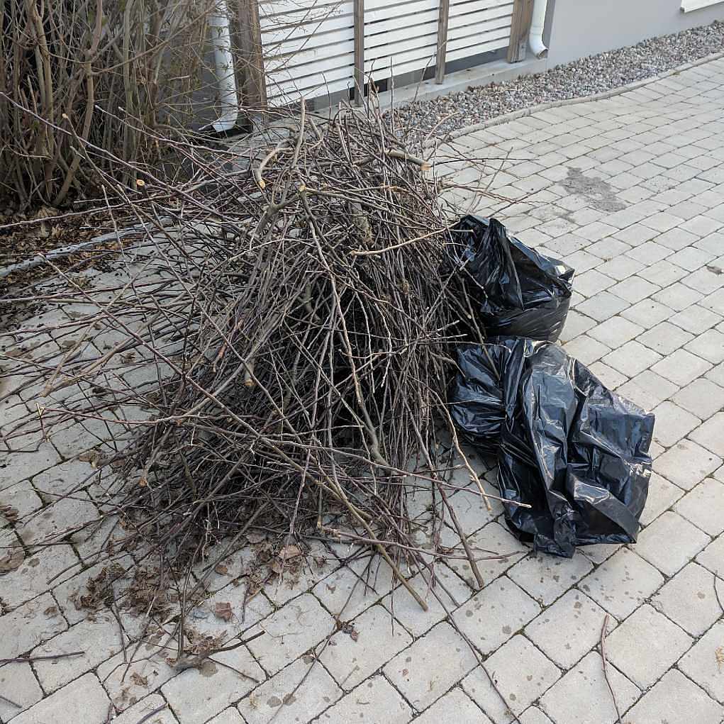 image of Kvistar och två sopsäckar - Bromma