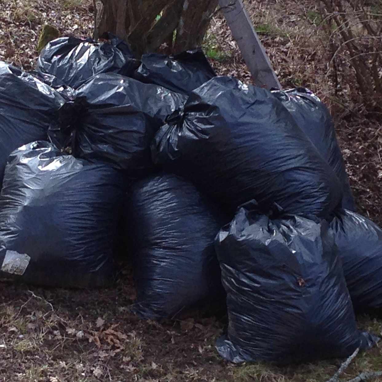 image of Trädgårdsavfall, mest löv - Huddinge