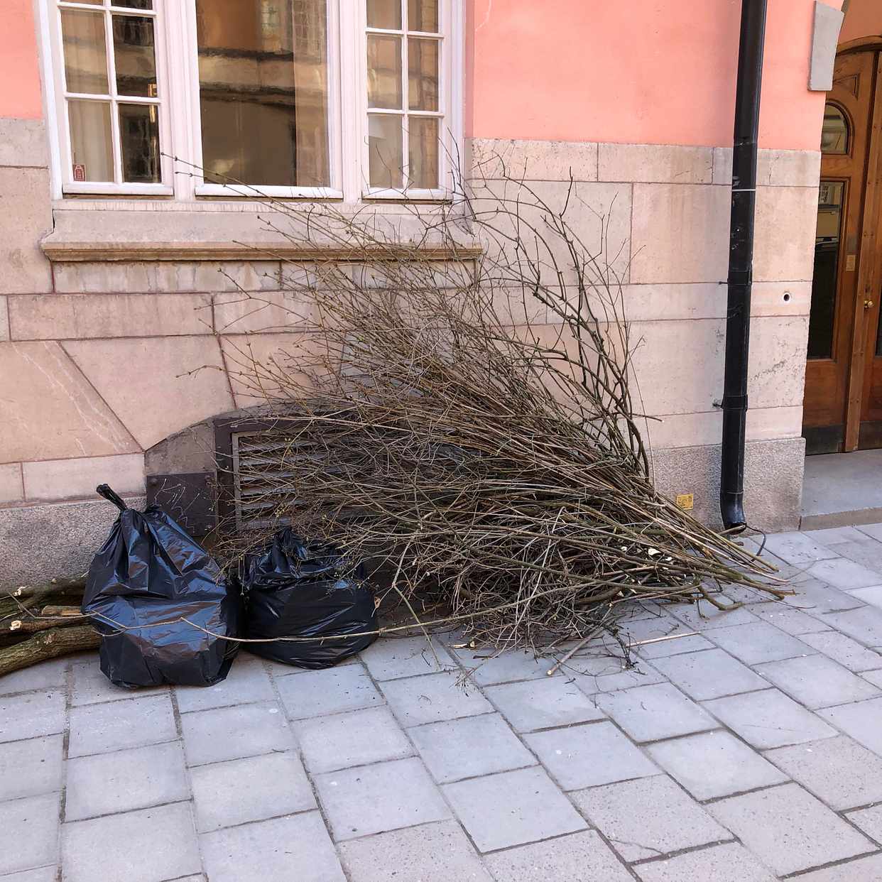 image of Ris, grenar - Stockholm City