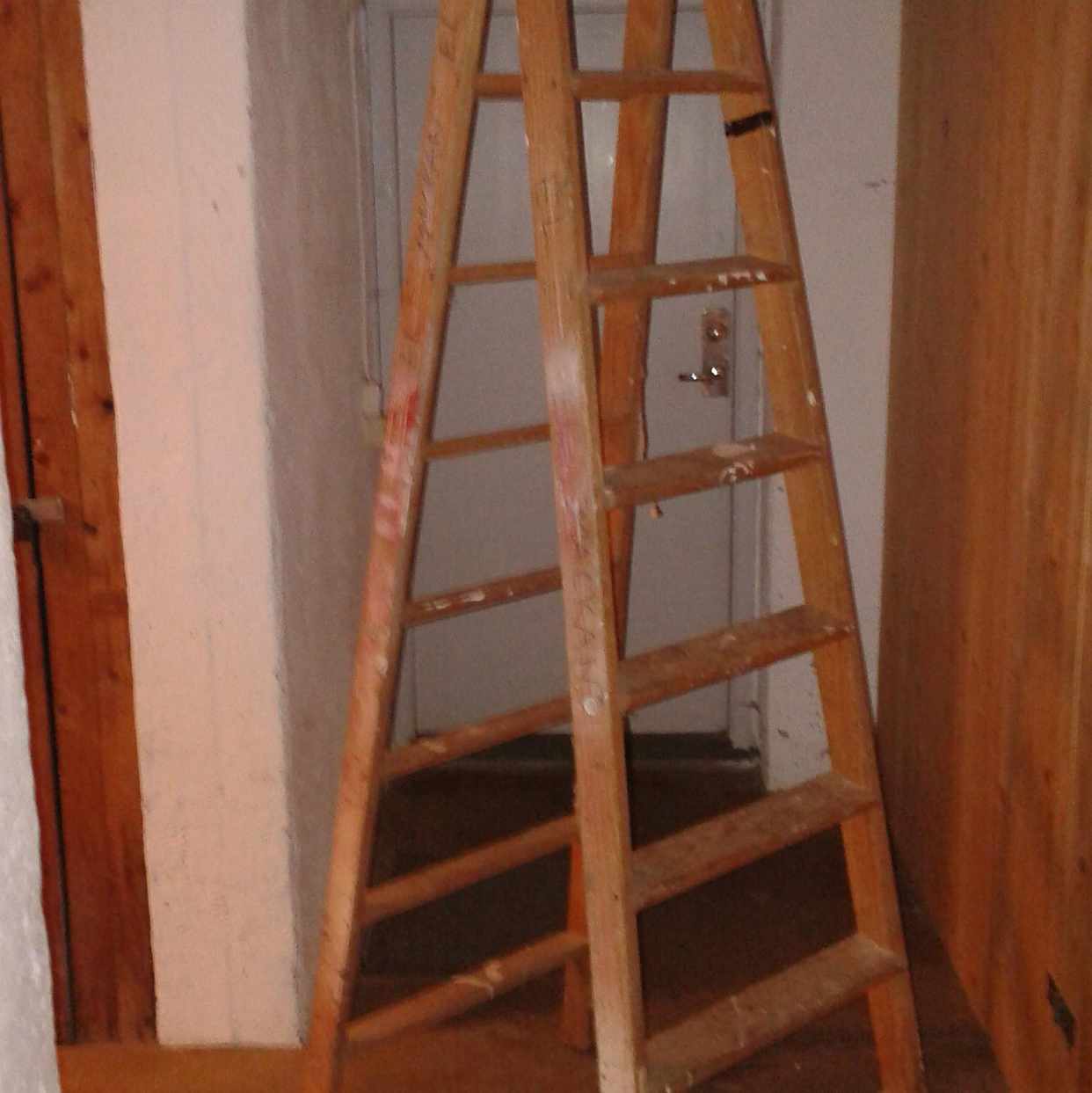 image of En stege 2 m + 2 böcker - 