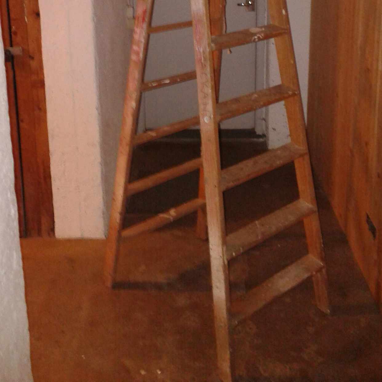 image of En stege 2 m + 2 böcker - 