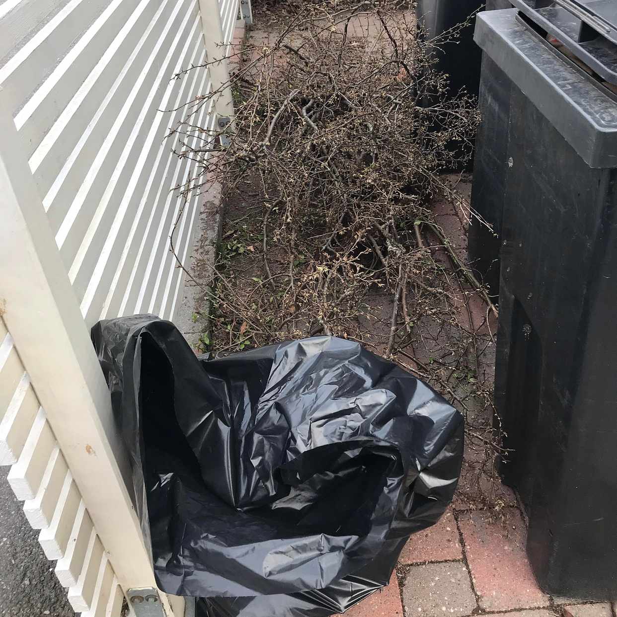 image of Två sopsäckar och några b - Täby