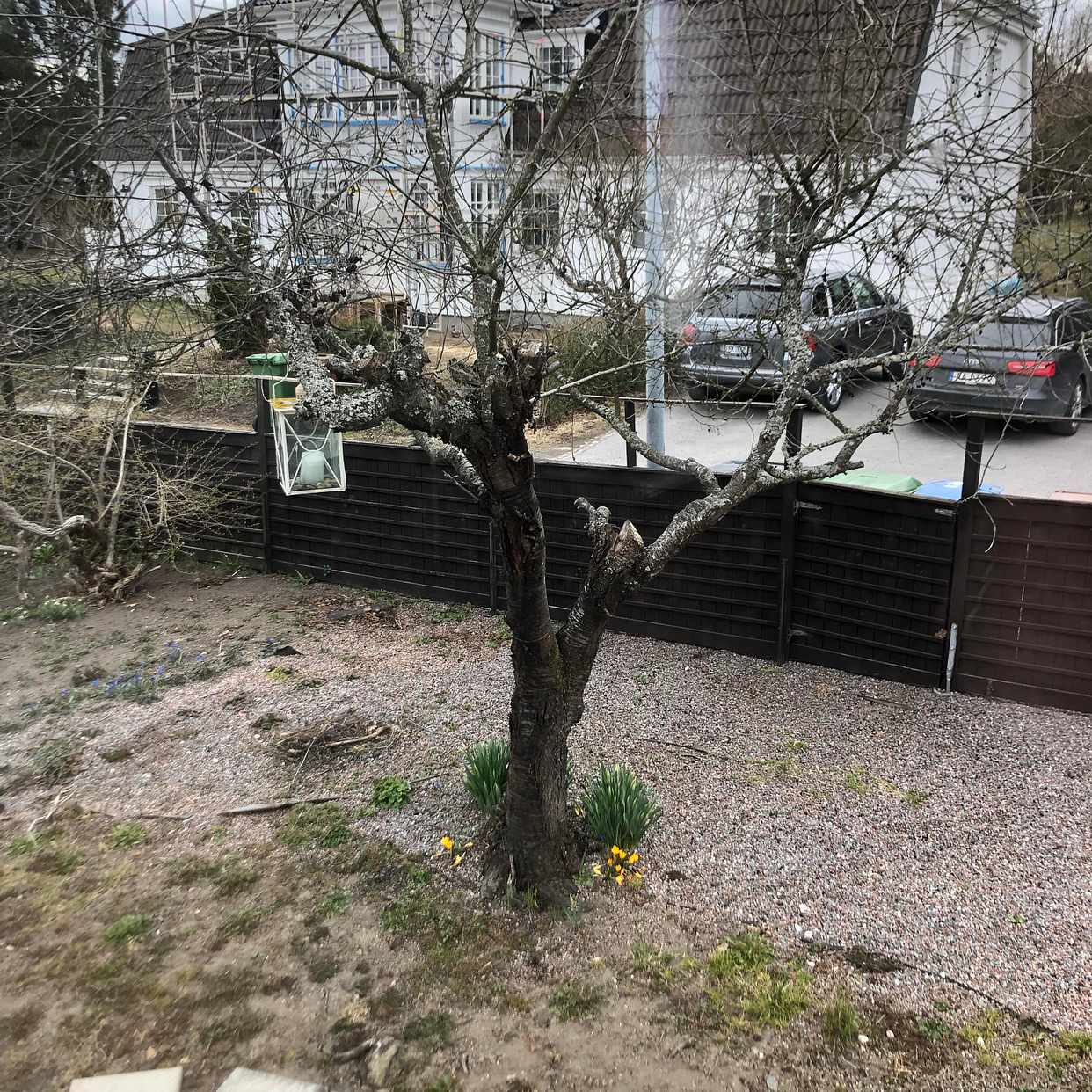 image of Blandat trädgård och bygg - Lidingö