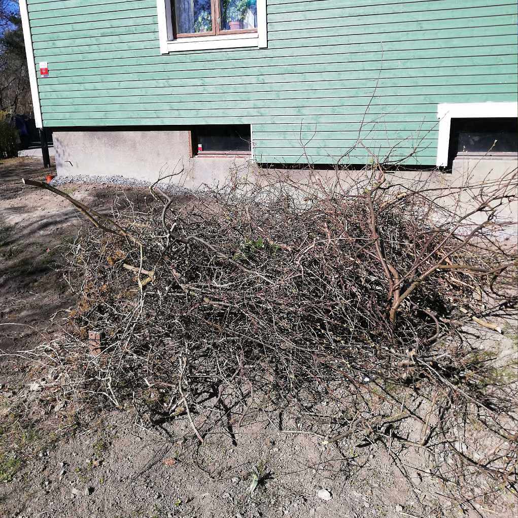image of Kvistar och ris - Älvsjö