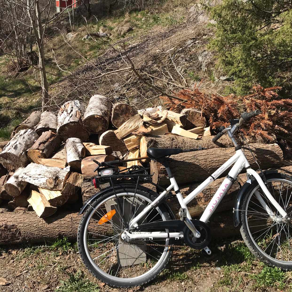 image of Trä, ris och en cykel - Saltsjö-Boo