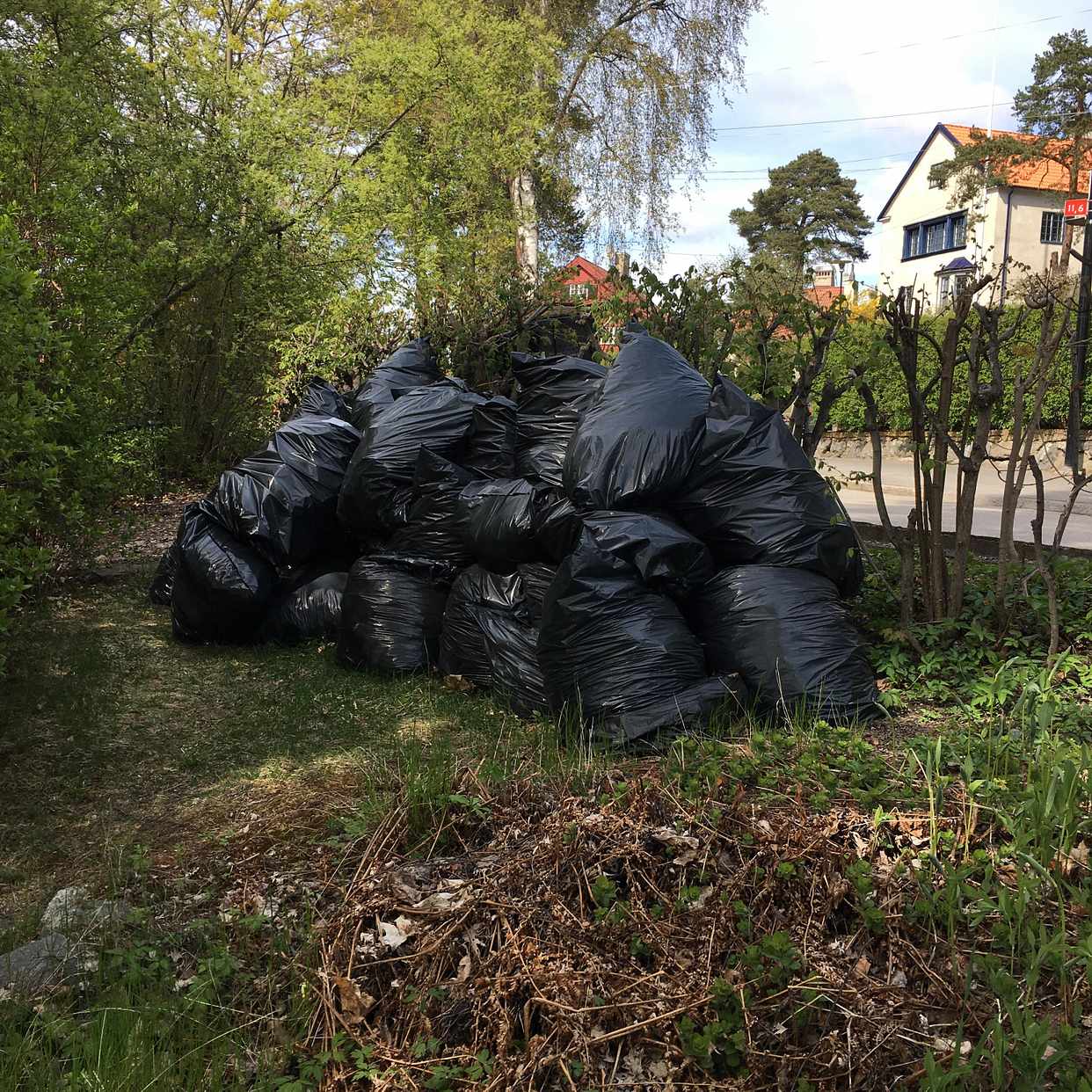 image of Lövsäckar - Bromma