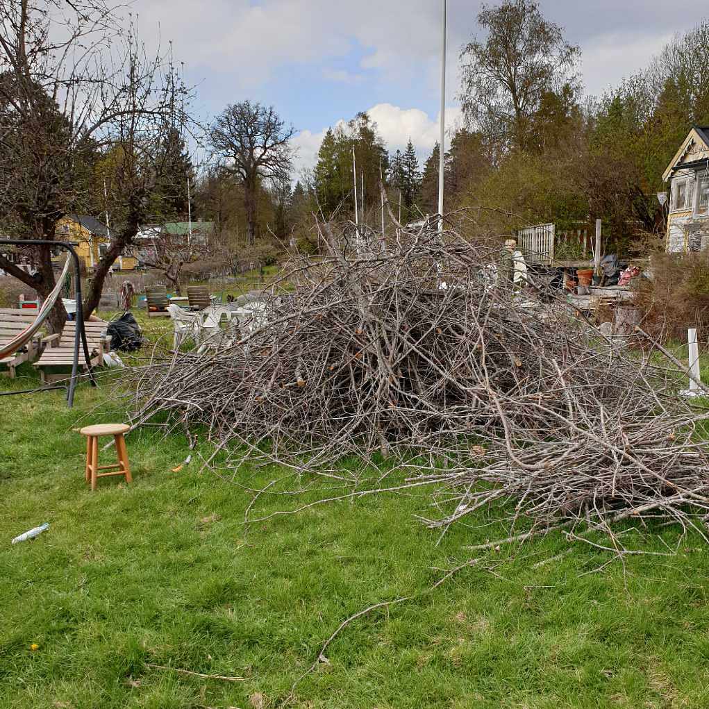 image of Ris och grenar - Skarpnäck