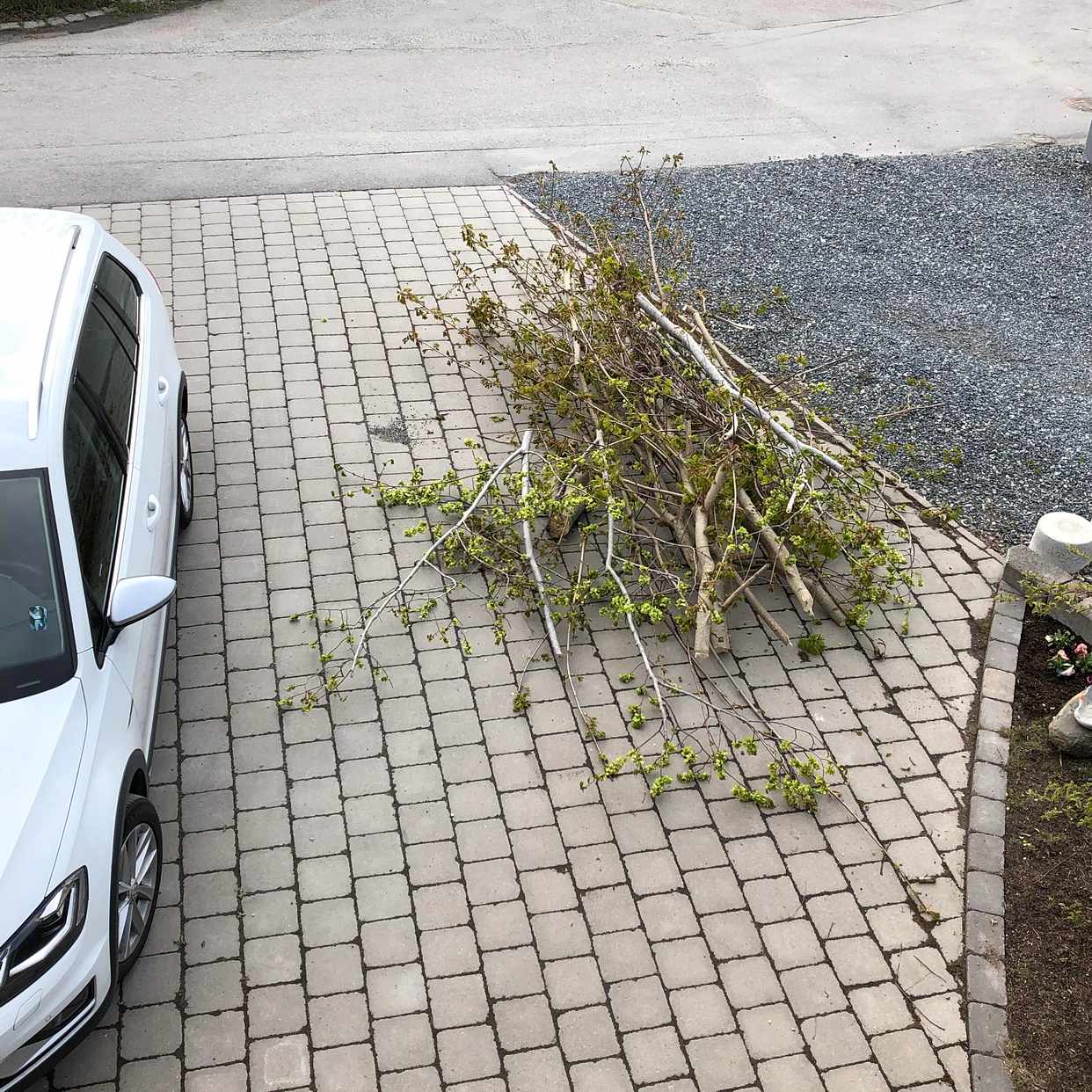 image of En lönn att frakta bort - Vallentuna