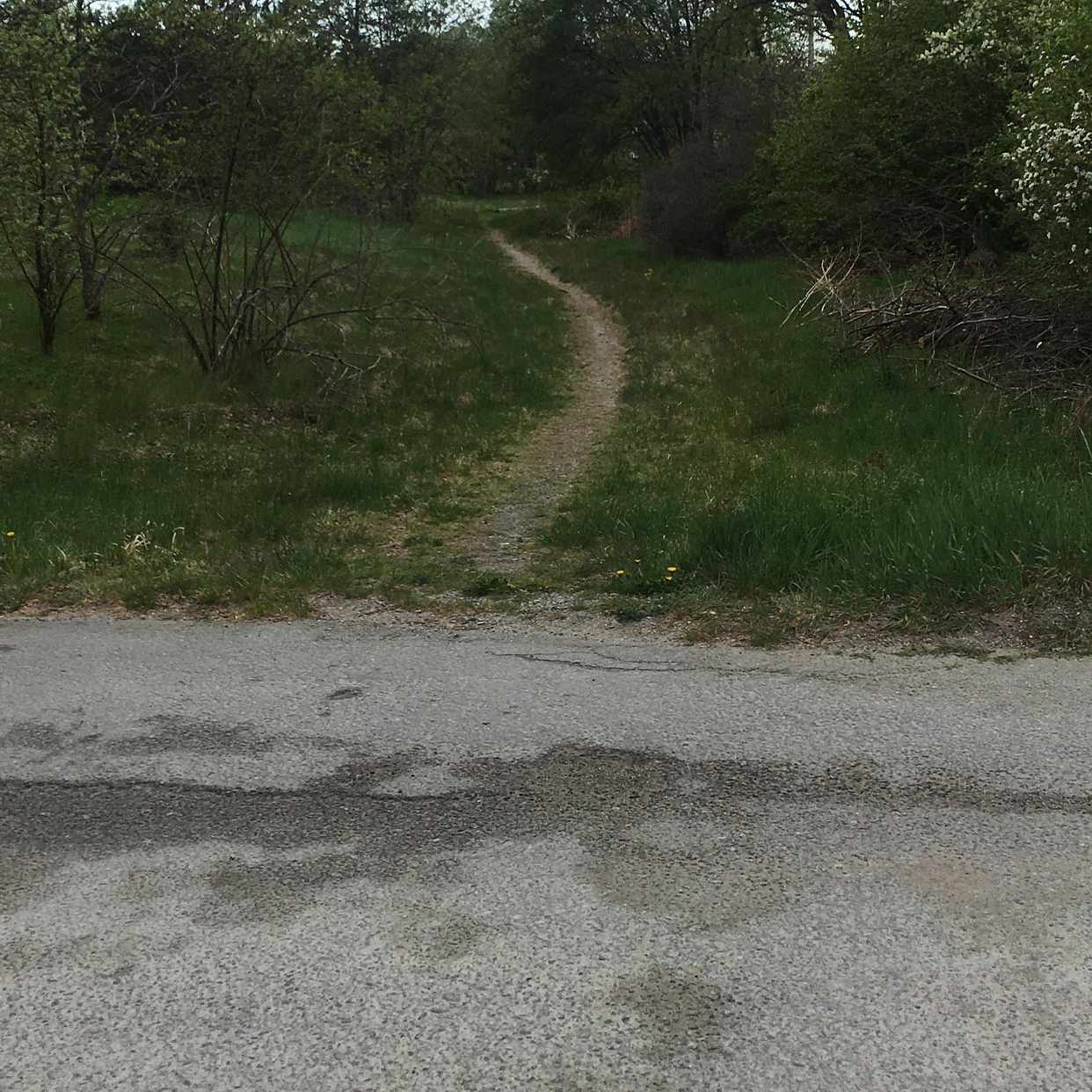 image of Trädgårdsavfall - Trångsund