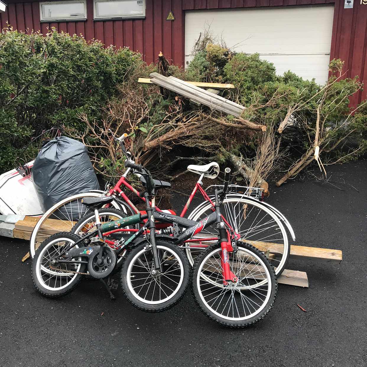 image of Ett lass till tippen - Täby