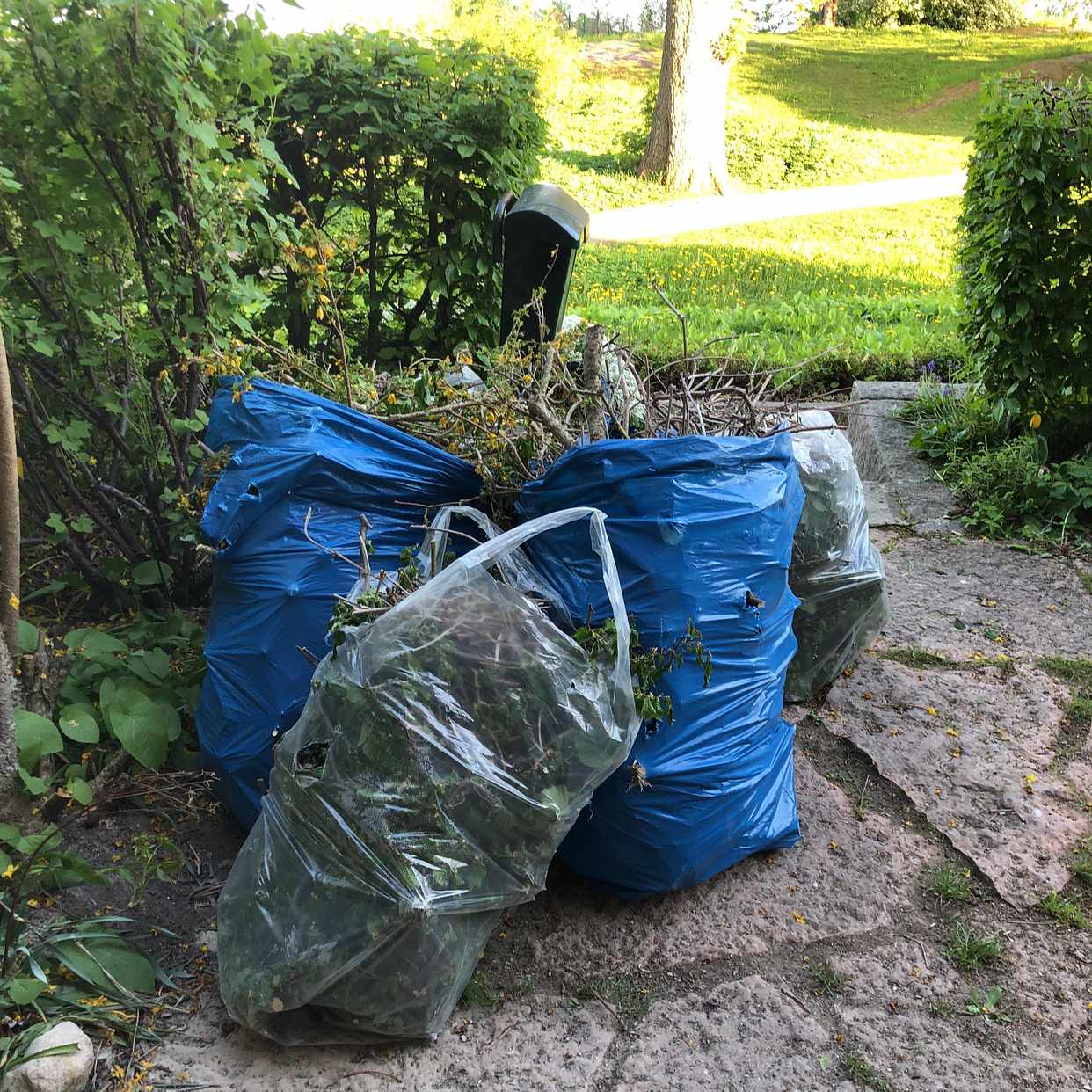image of 6 påsar med kvistar o löv - Bromma
