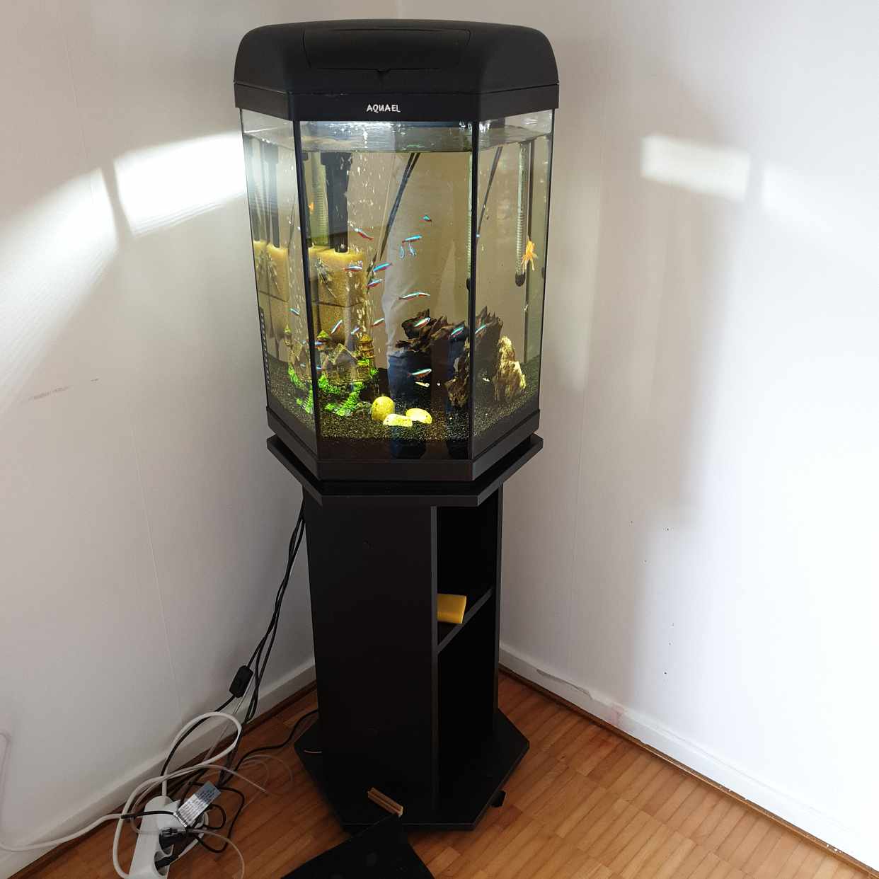 image of Akvarium med pump mm - Göteborg