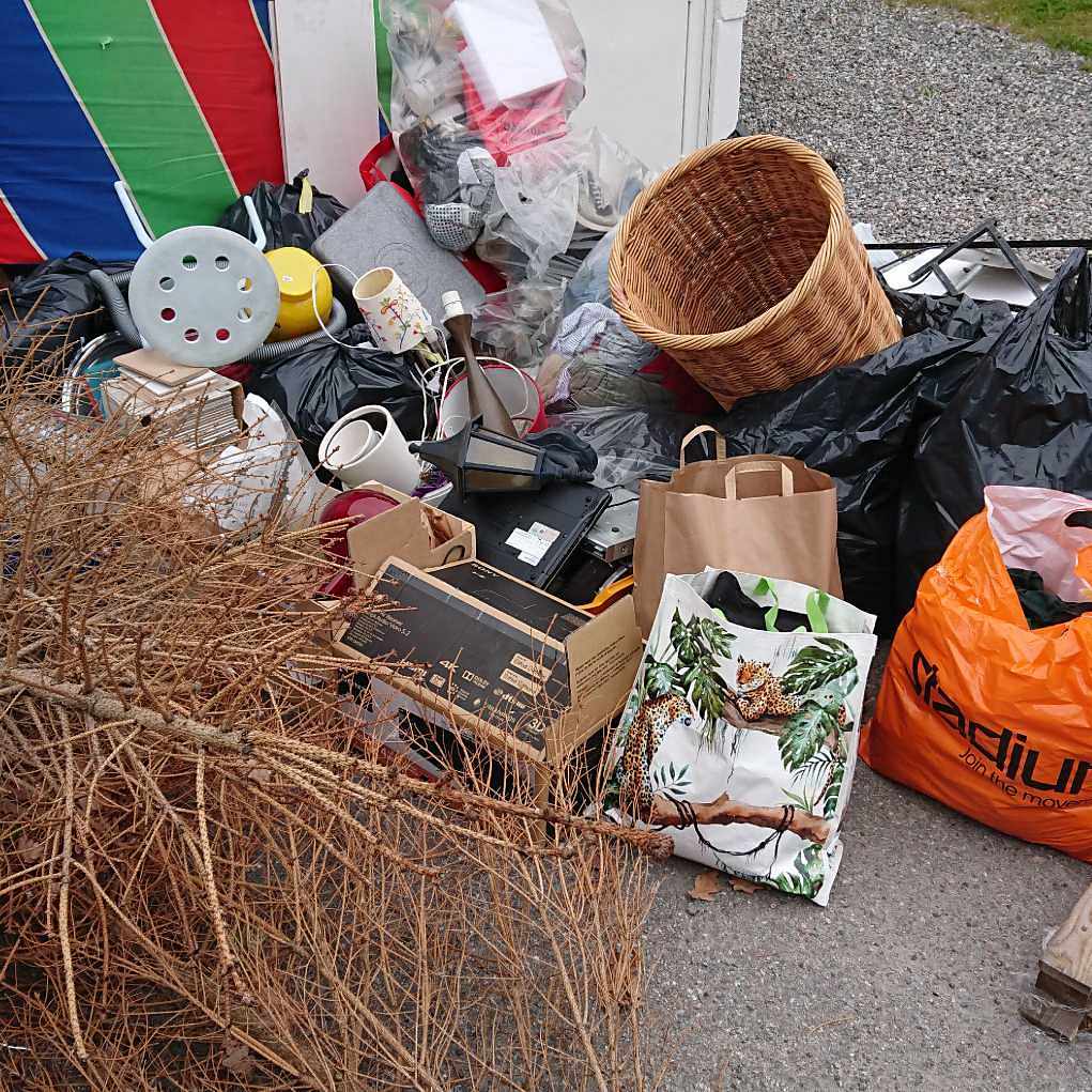 image of Diverse hyffsat sorterat - Hässelby