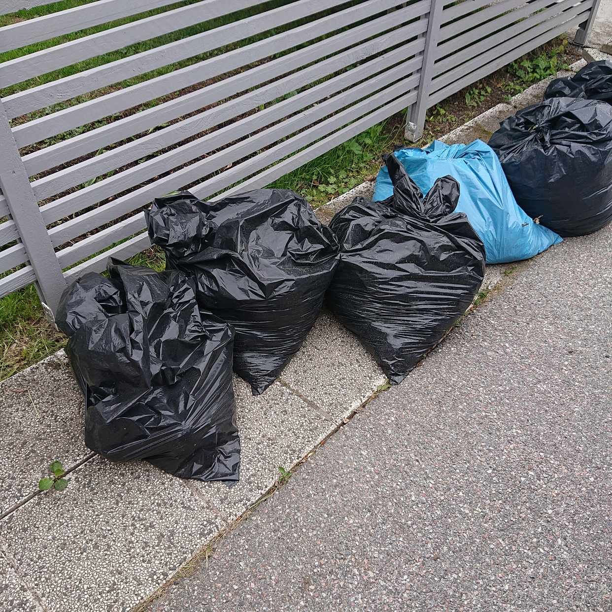 image of Trädgårdsrens,stenplattor - Täby