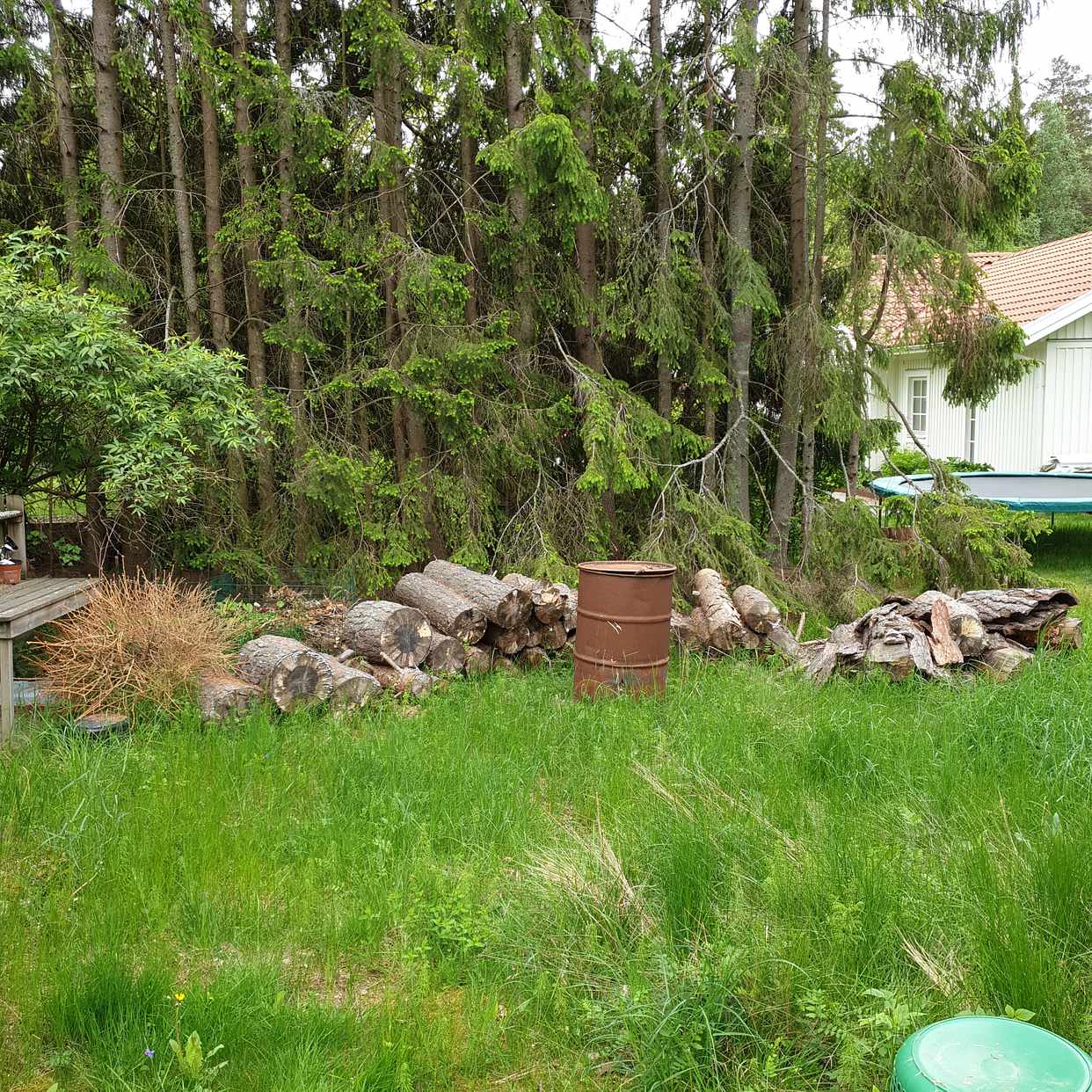 julgran tyresö Stubbar och julgran   Tyresö   Tiptapp