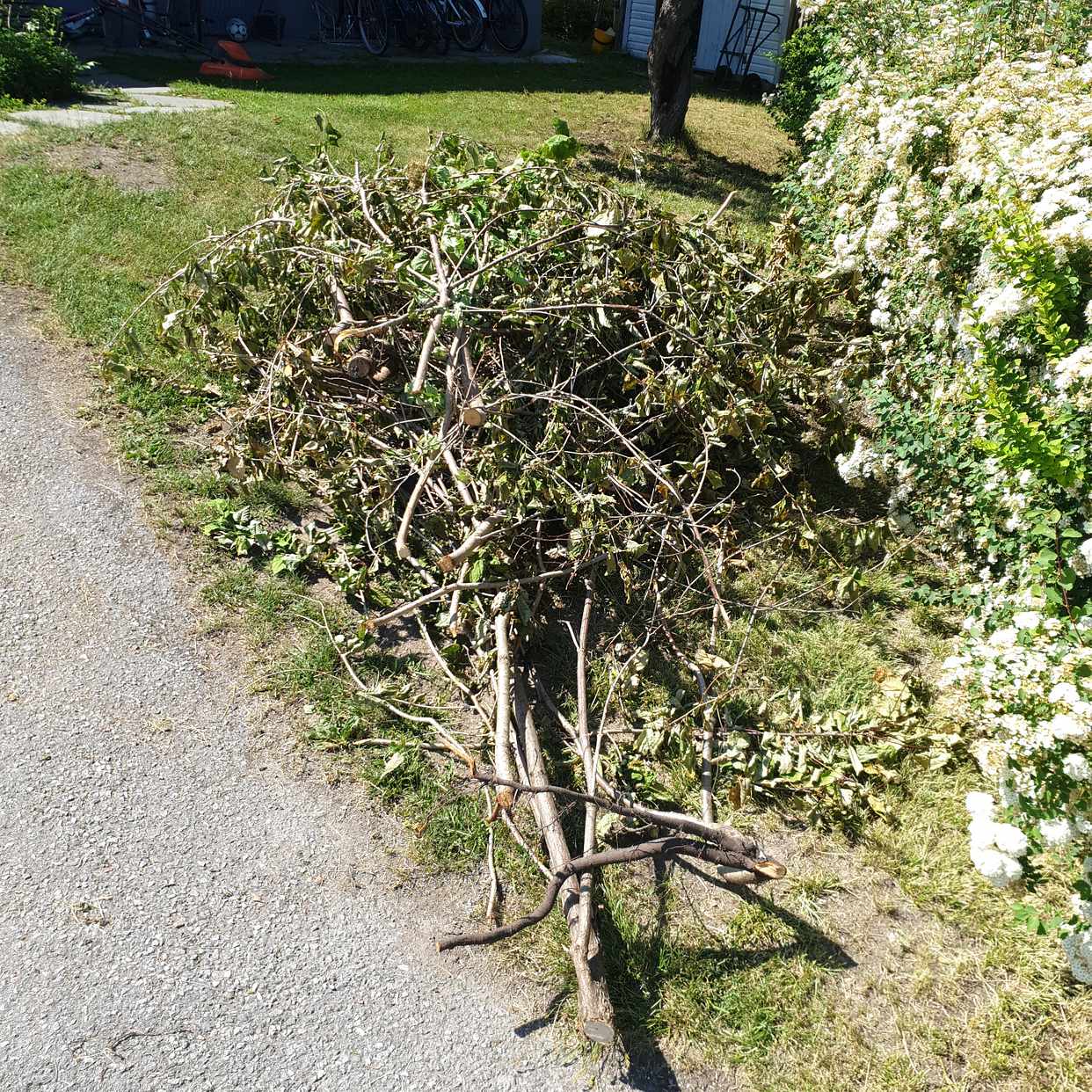 image of Grenar/ris - Vällingby