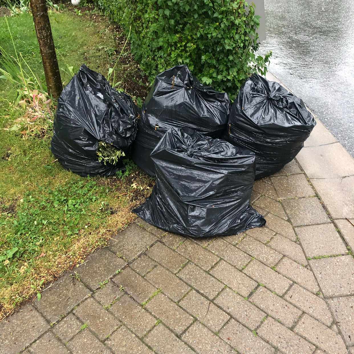 image of 4 säckar teädgårdsrens - Älvsjö