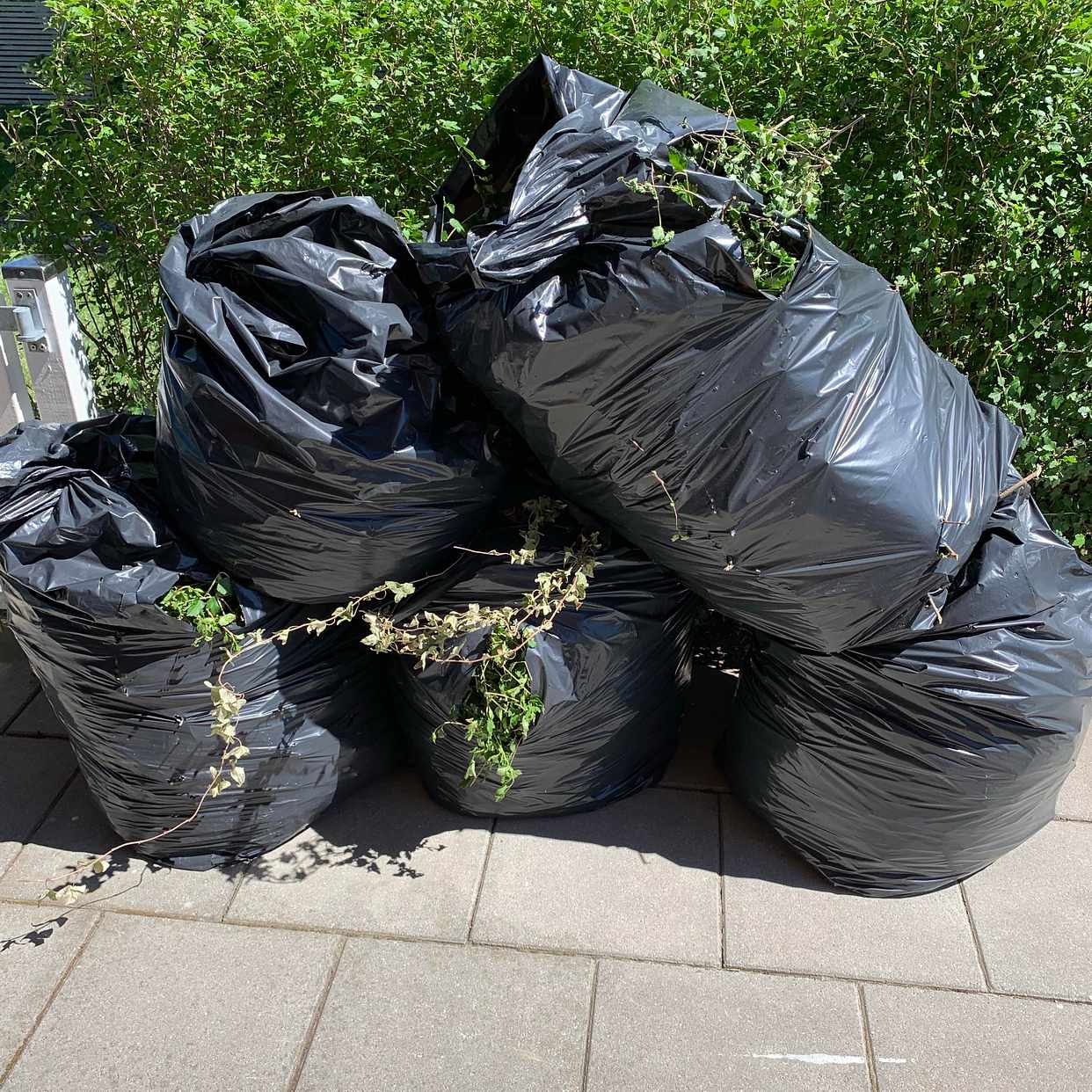 image of 5 säckar med grenar - Bromma