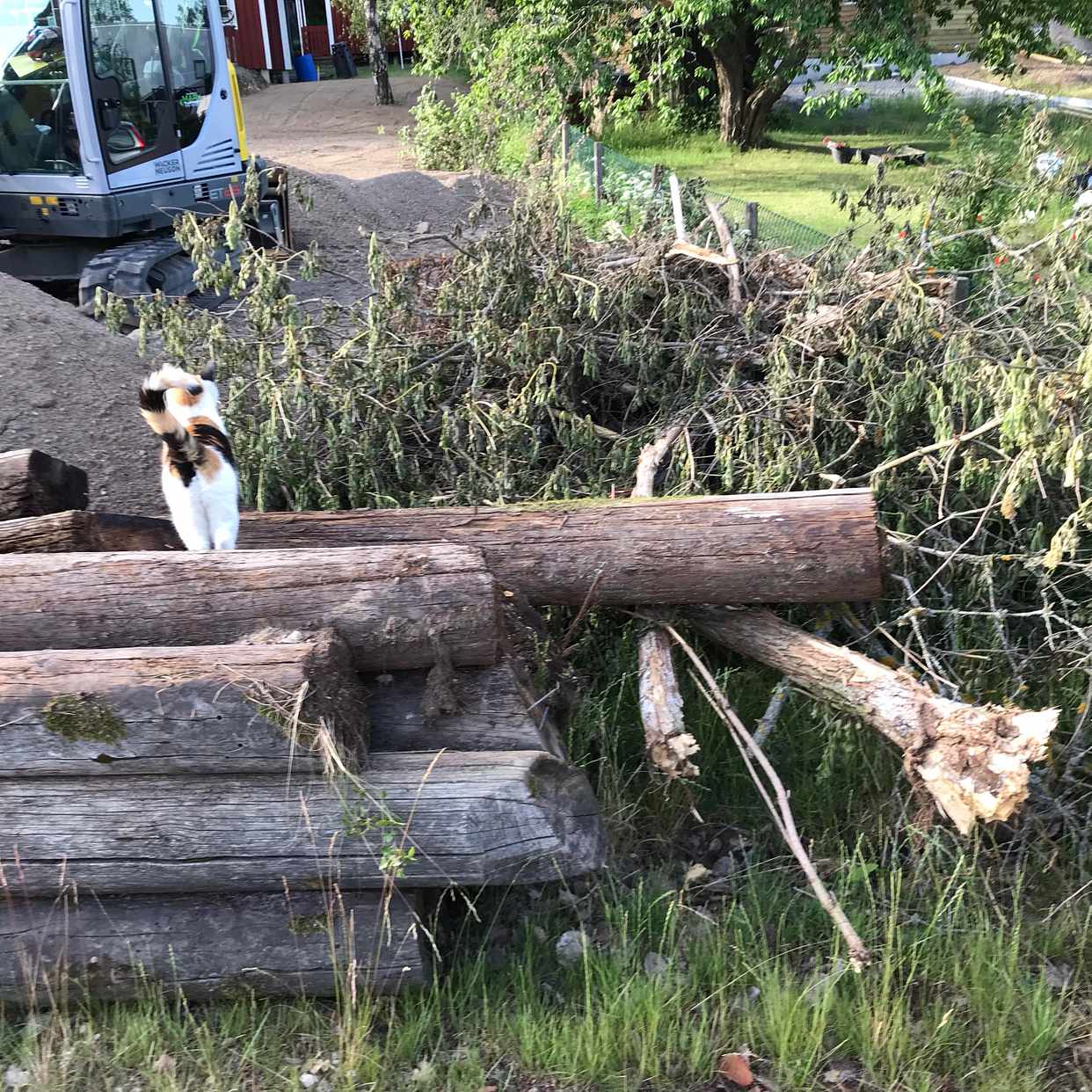 image of Slipers + litet träd - Huddinge