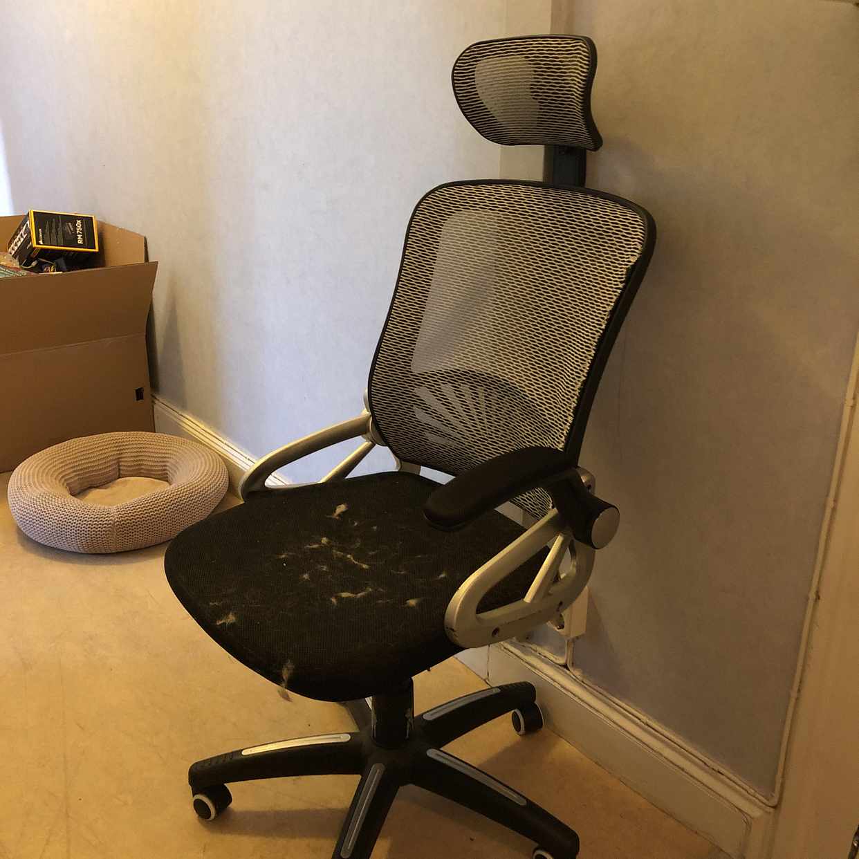 image of Office chair & boxes - Stockholm City