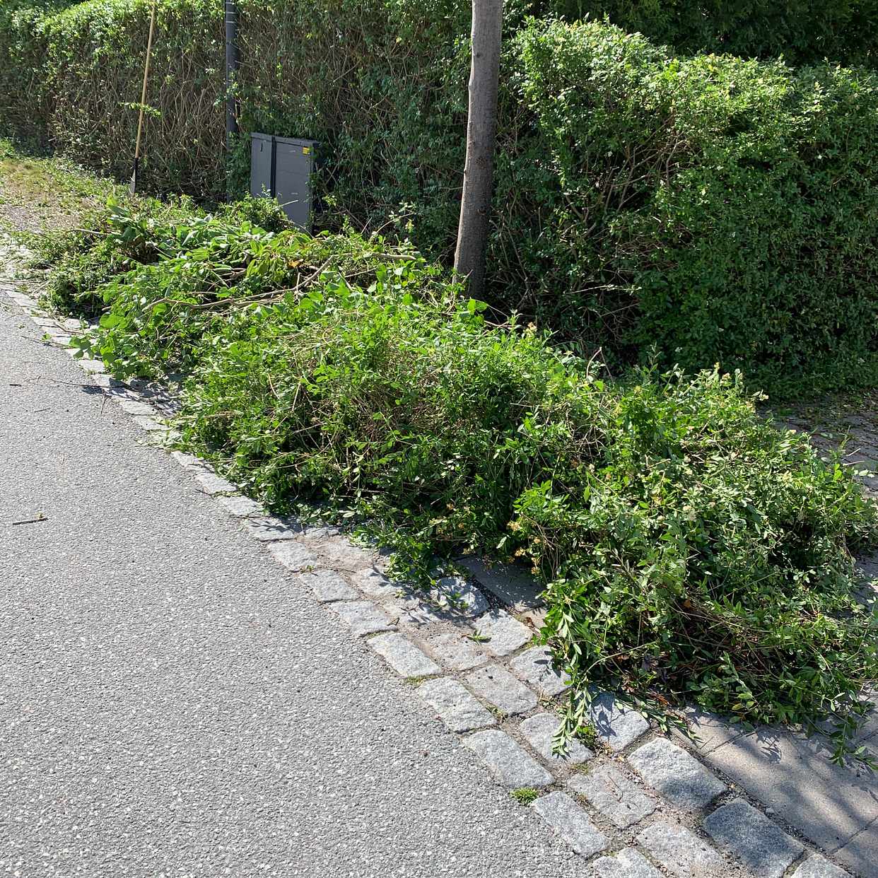 image of Trädgårdsavfall - Lidingö