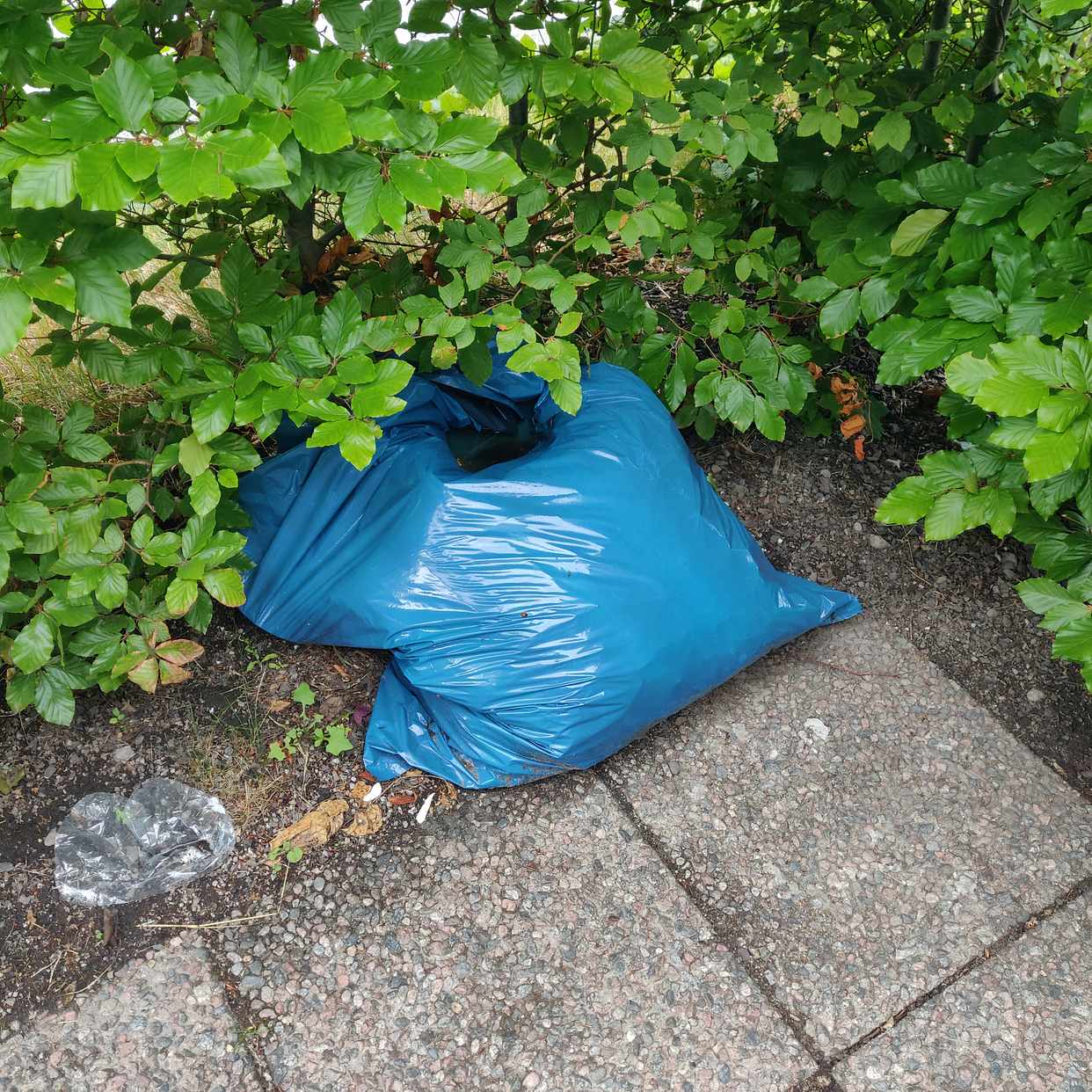 image of Kartong & säckar med löv - Ekerö