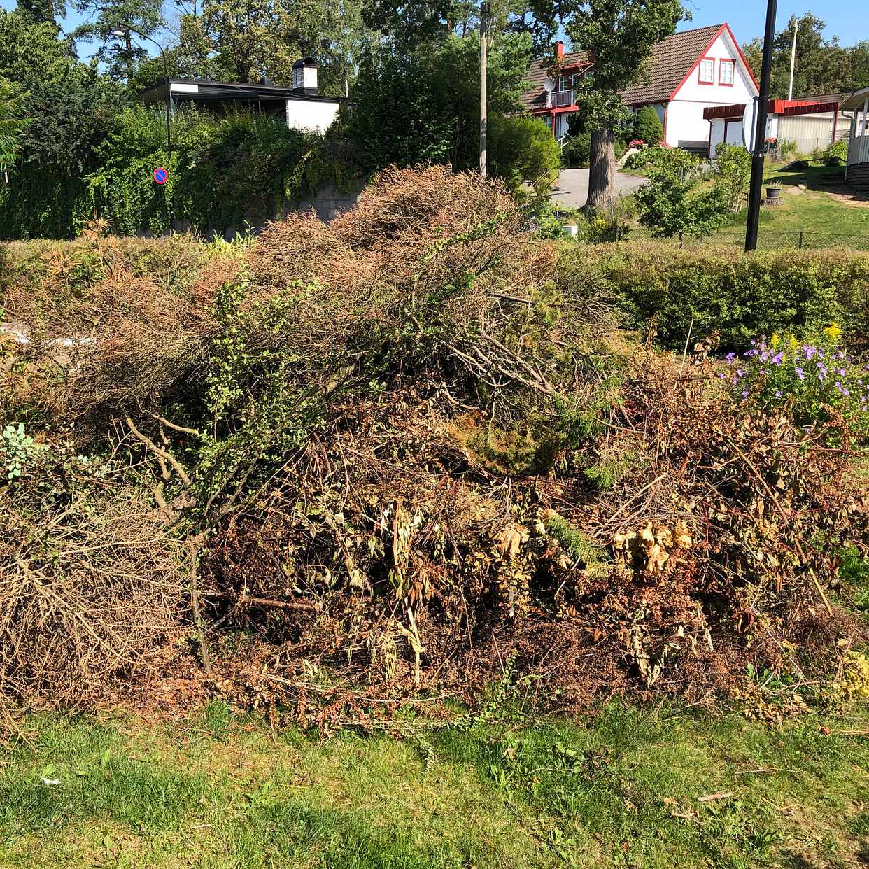 image of Löv och grenar 2 högar - Farsta