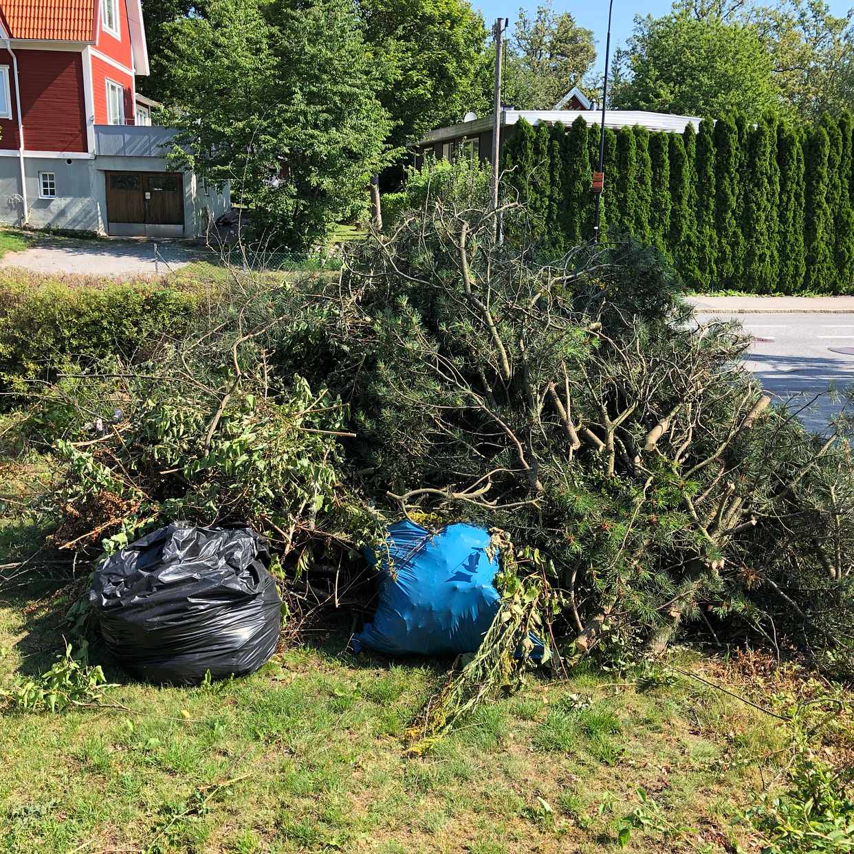 image of Löv och grenar 2 högar - Farsta