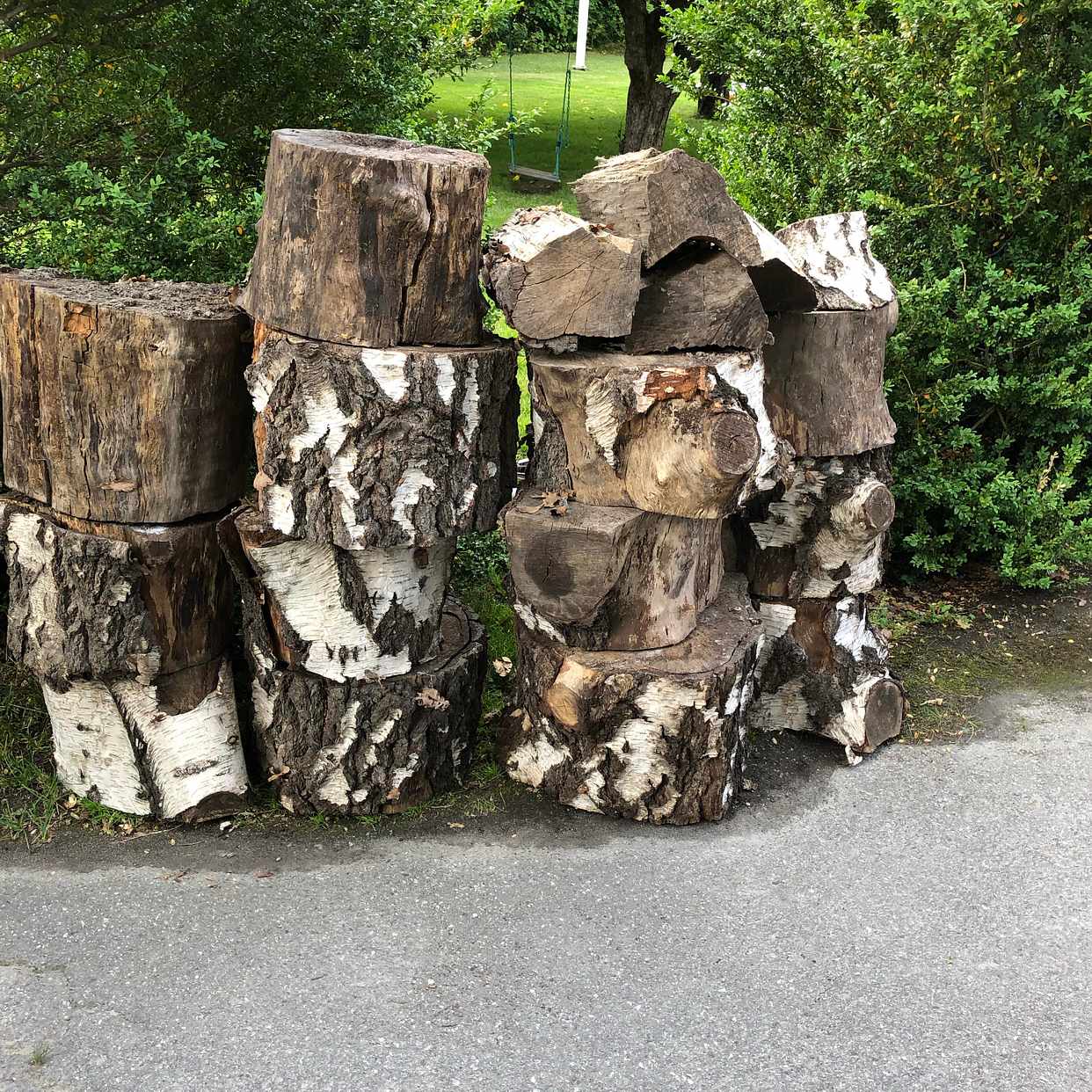 image of Björkstubbar 14  st. - Djursholm